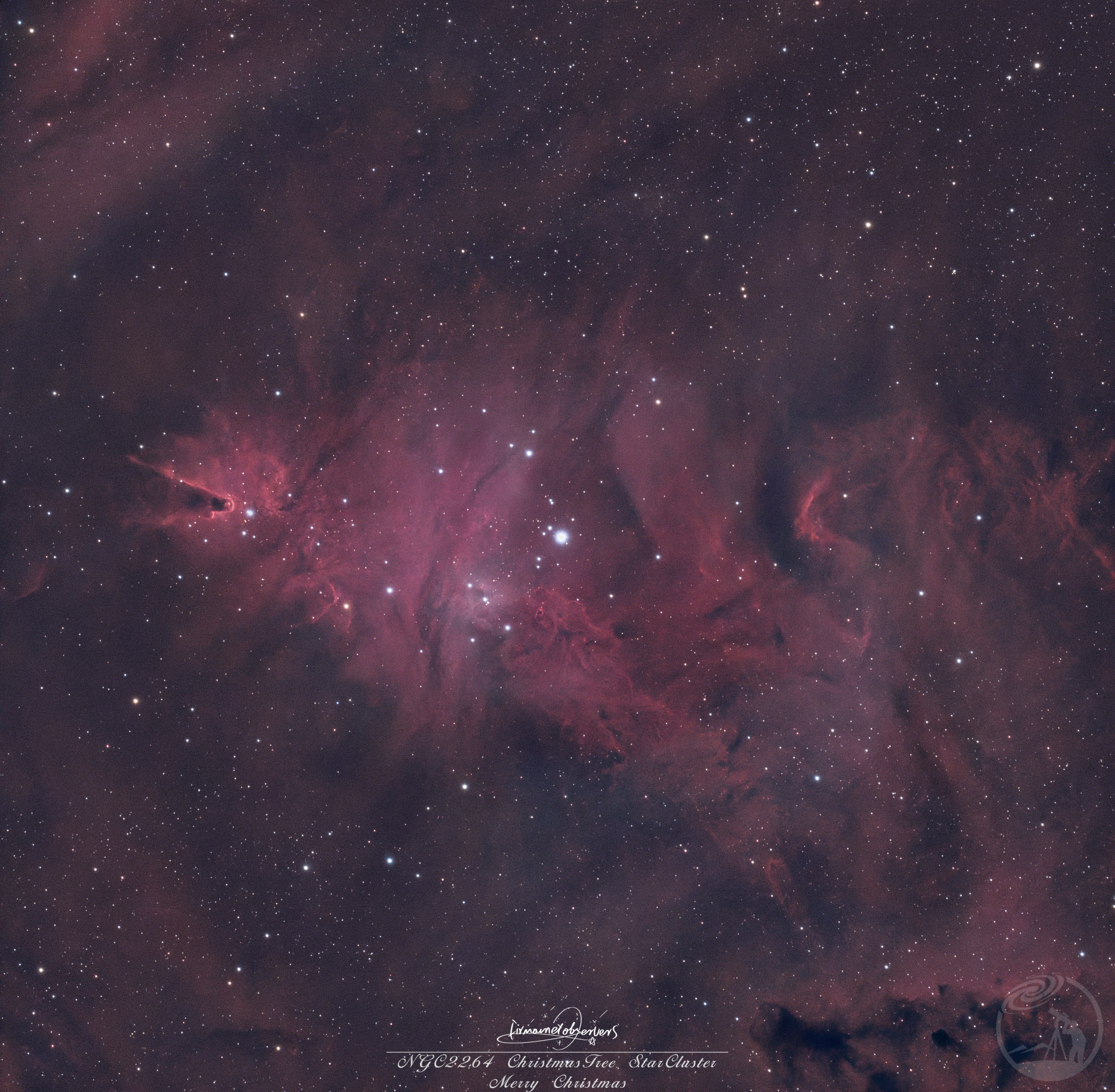 被星铃妆点的圣诞树