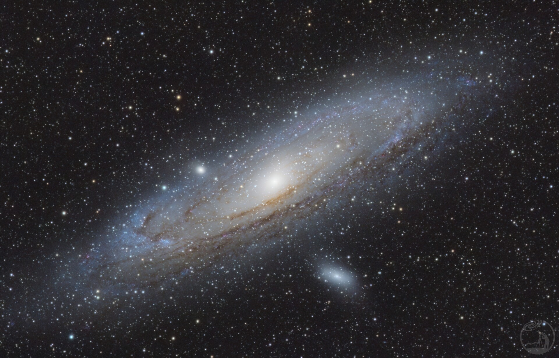 M31