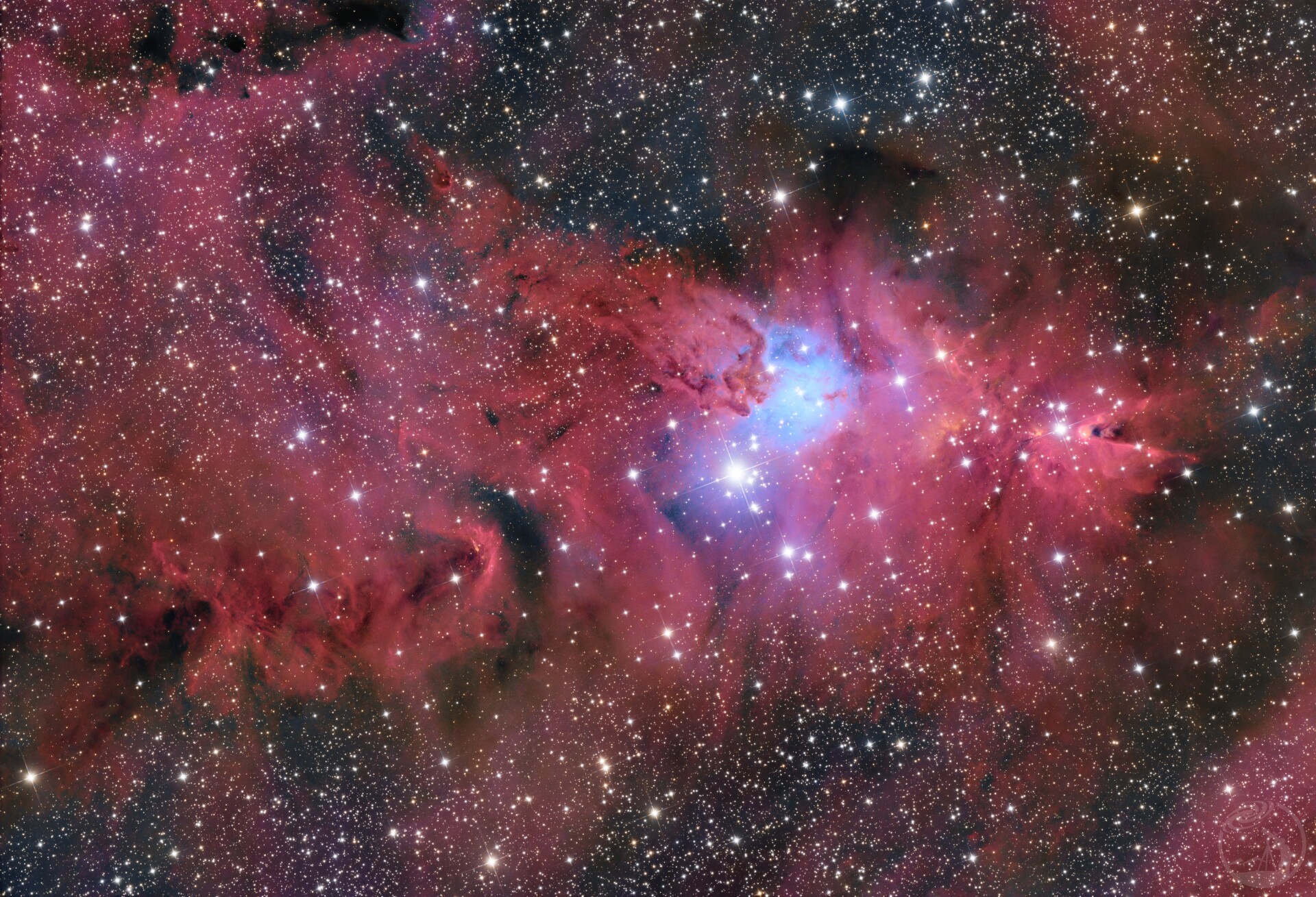 冬的来信（圣诞树星团）