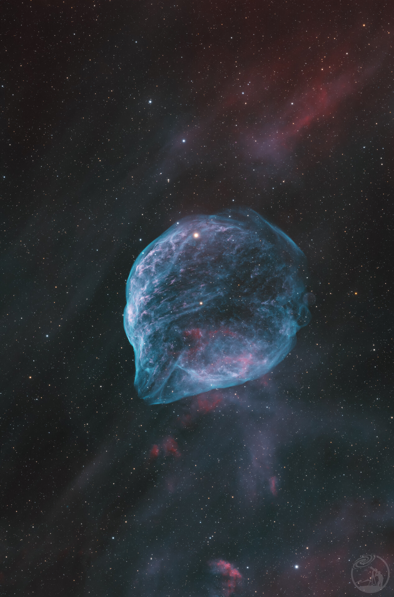 丝滑的海豚（加钟Ha）