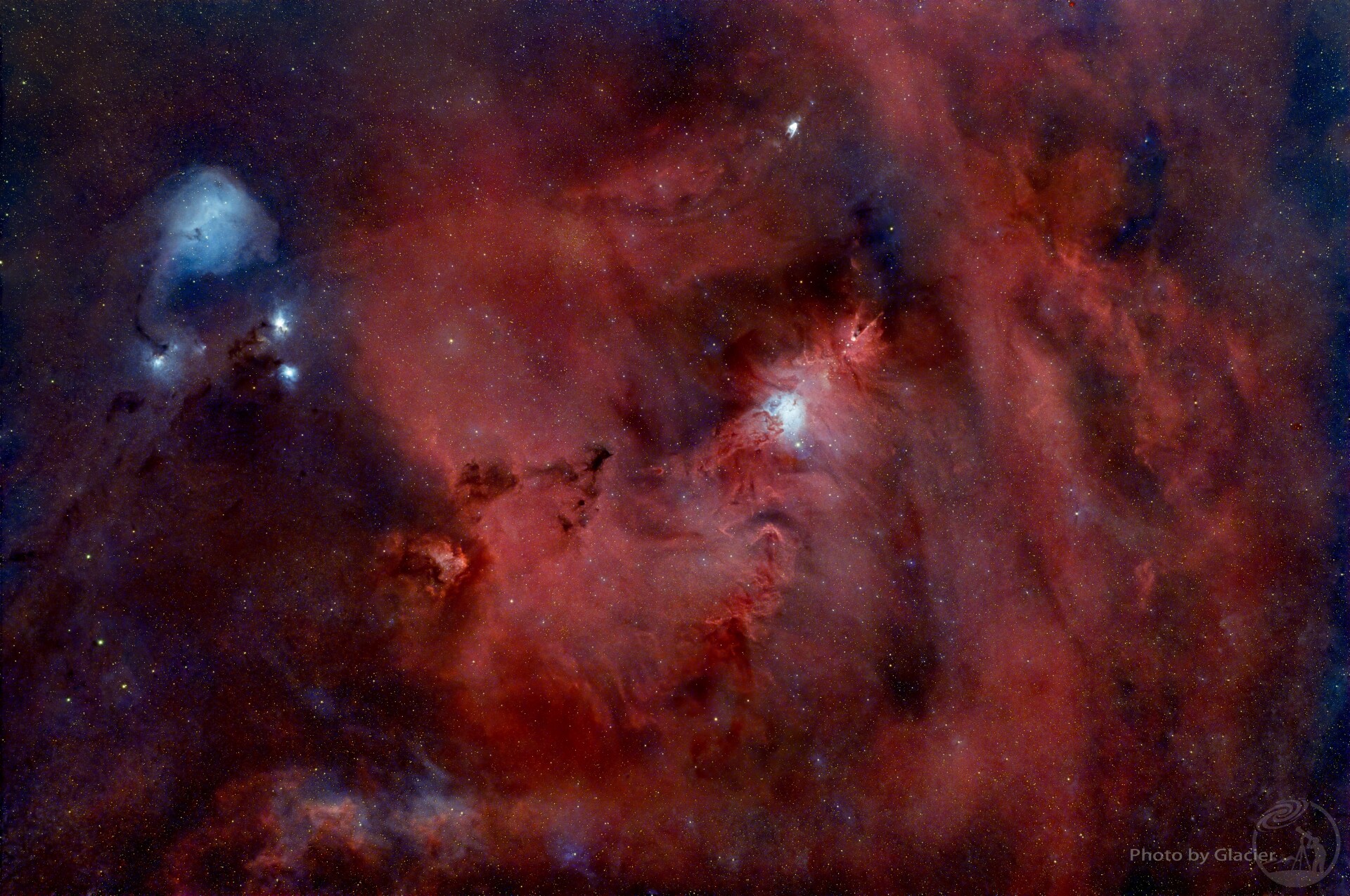 圣诞树与小鲸鱼