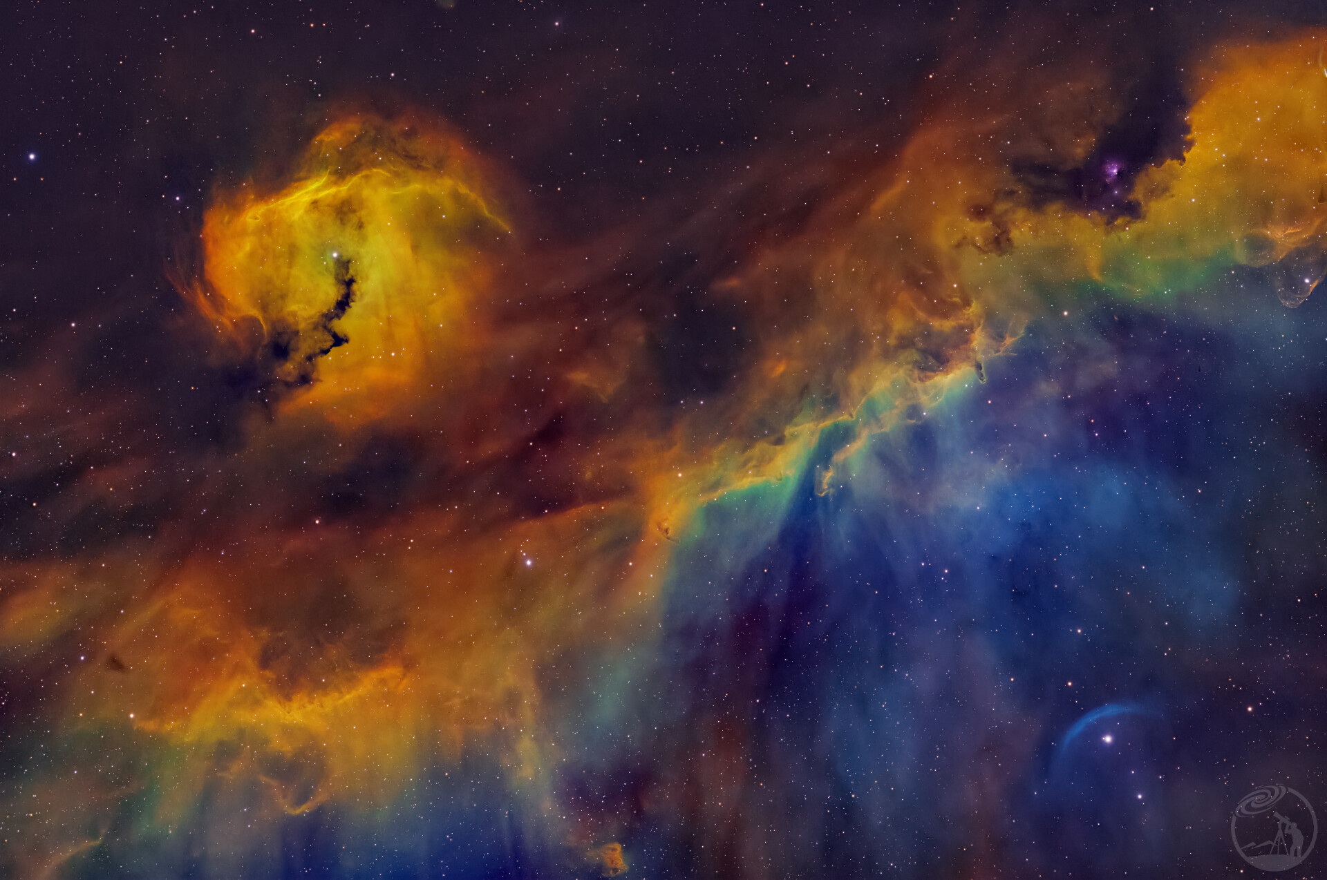 ic2177海鸥大头照