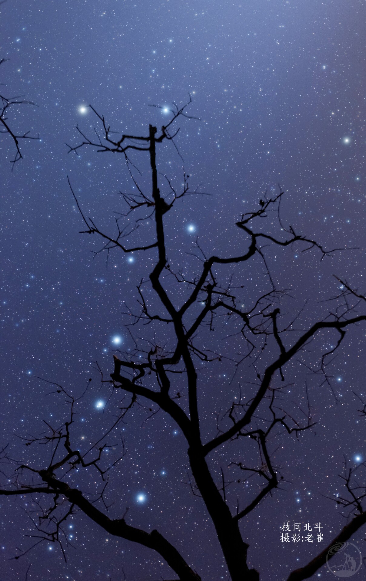 枝间北斗