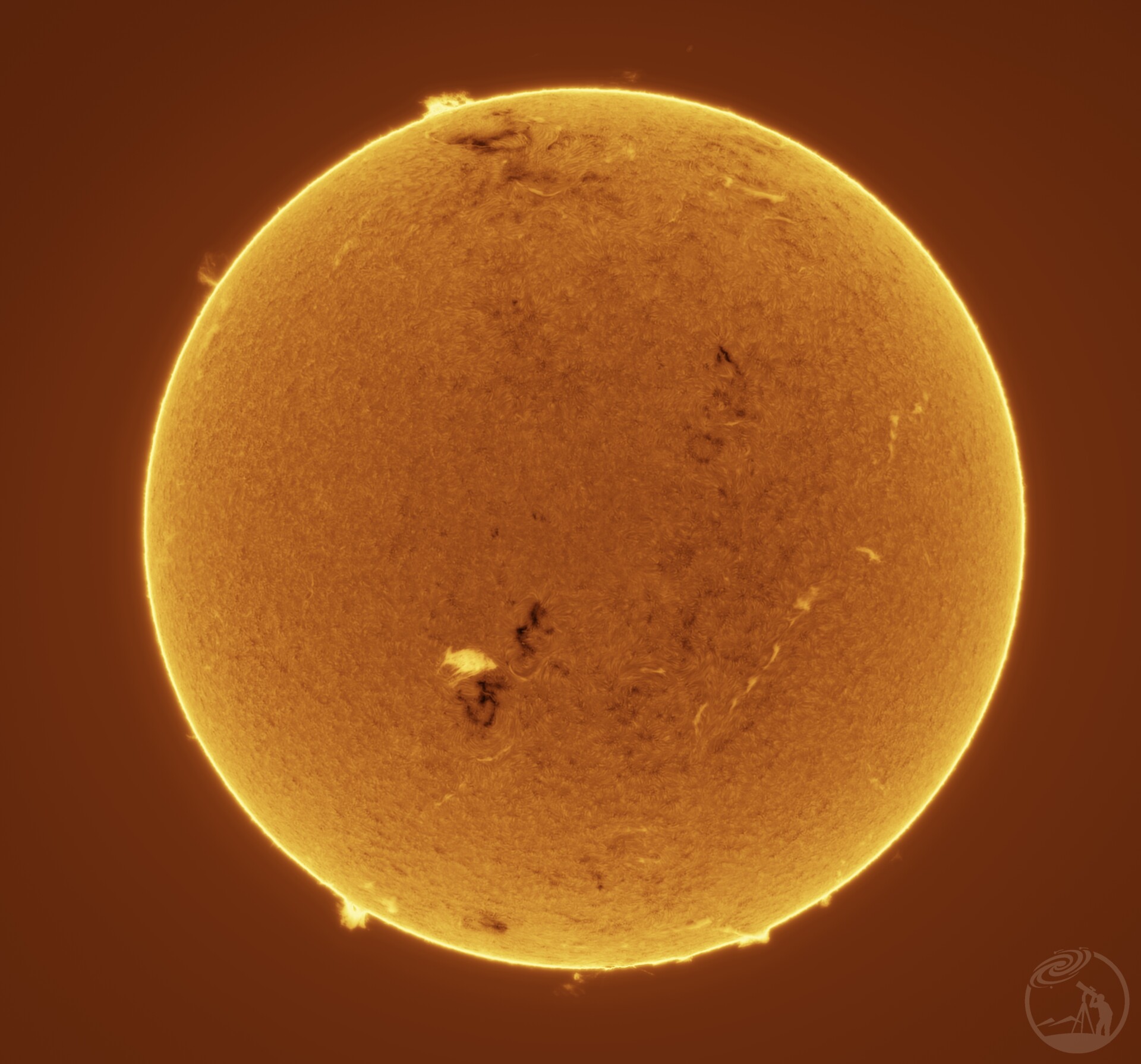 1219看日珥（太阳上的一条鱼）