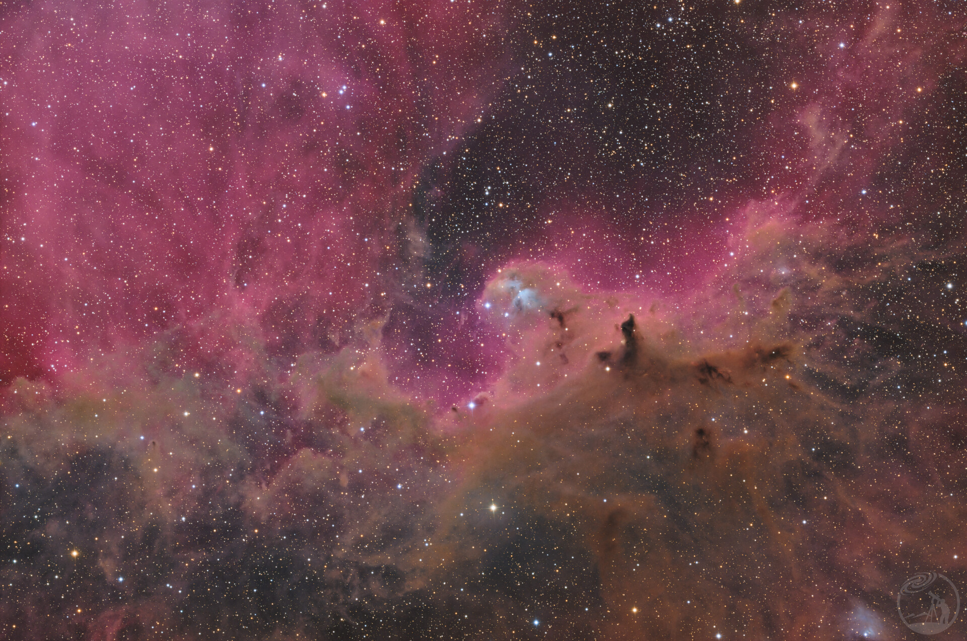 LDN1584 🦅击长空