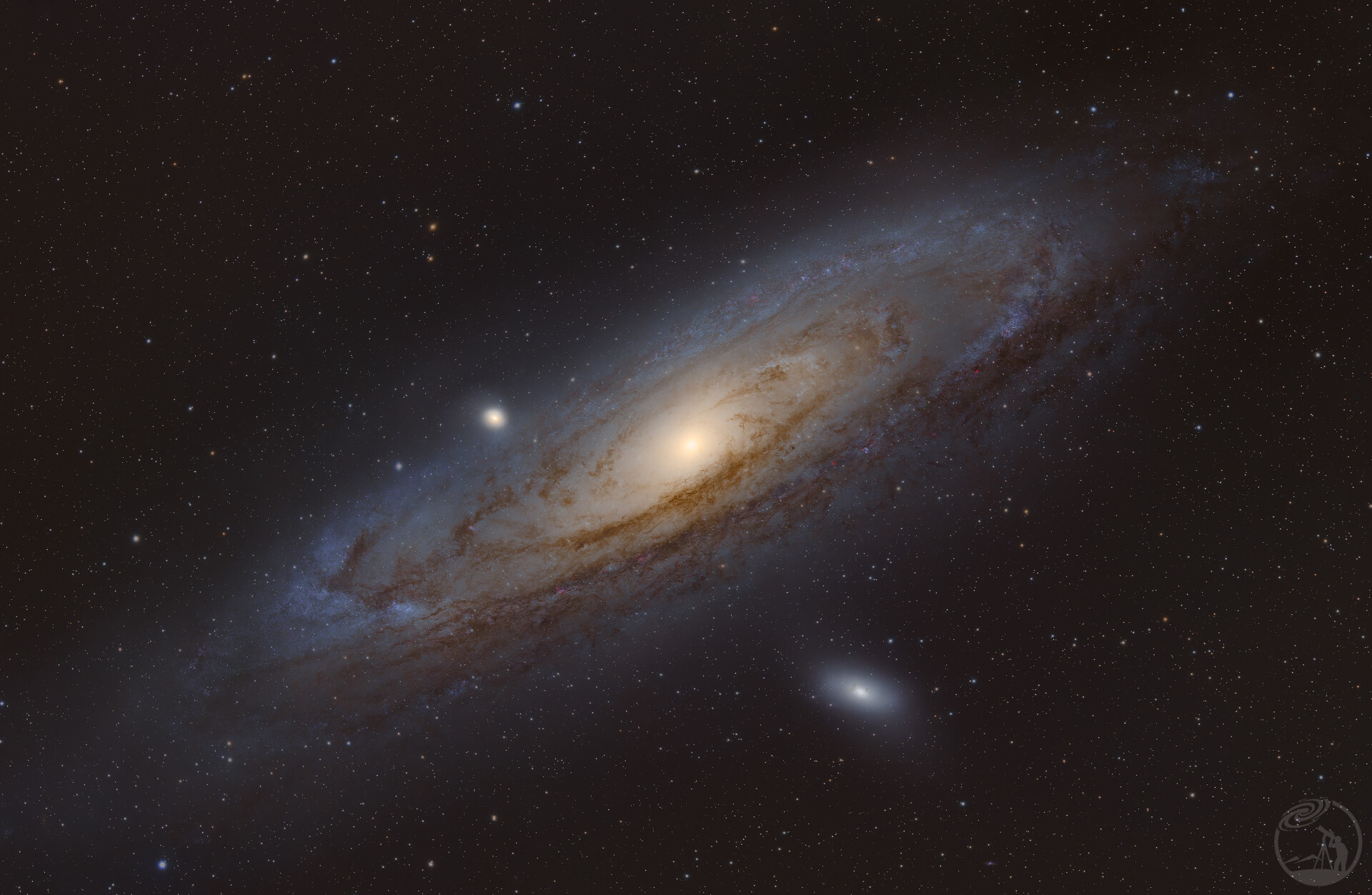 仙女打野一小时