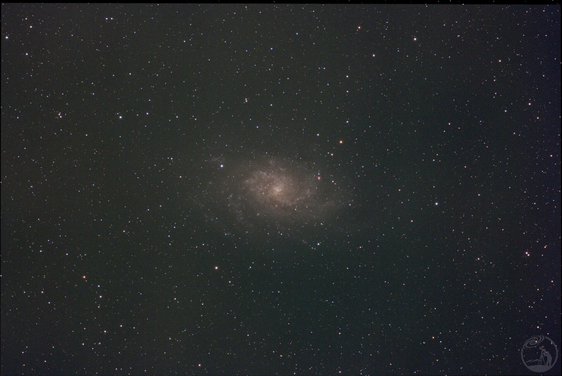 M33