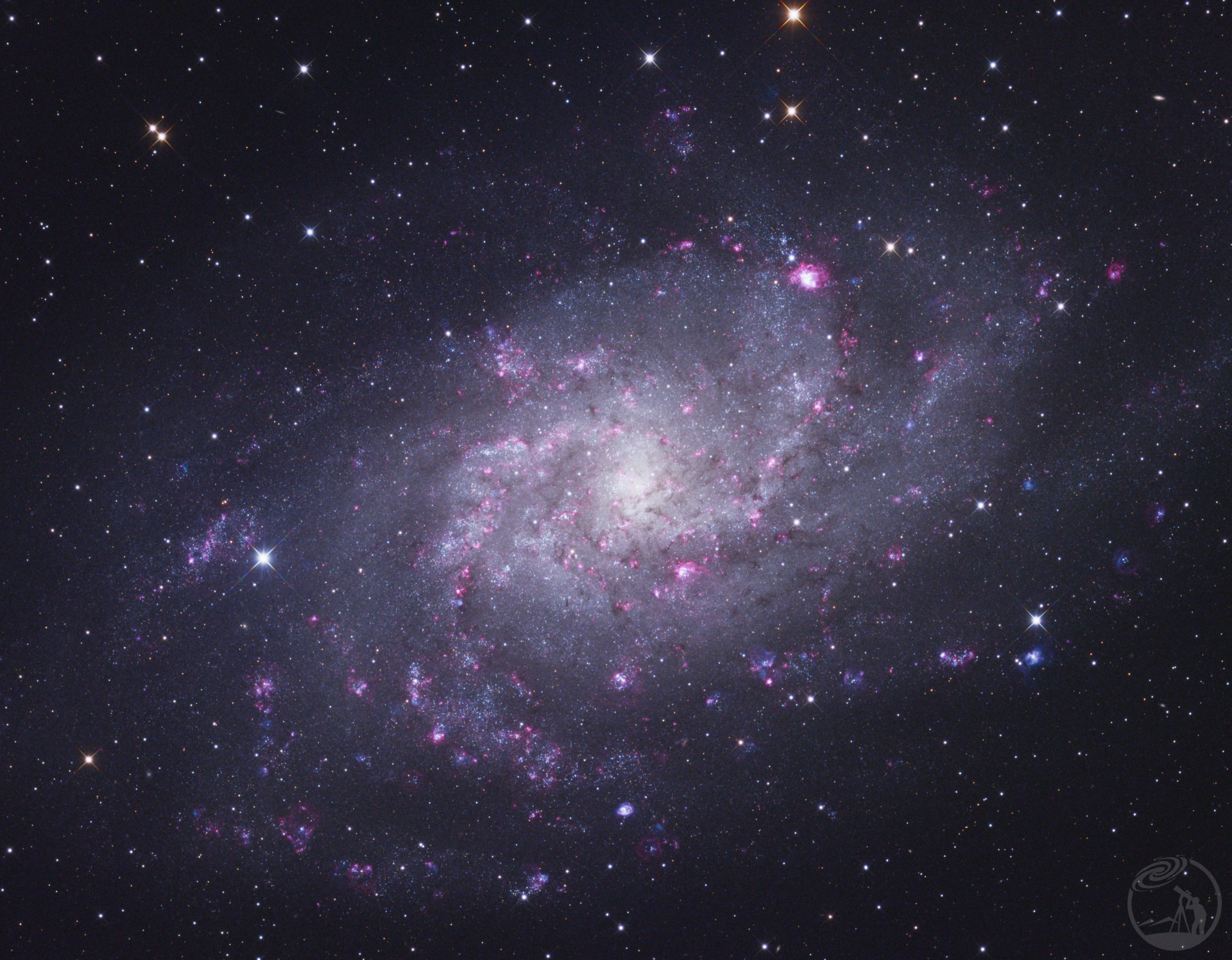 M33