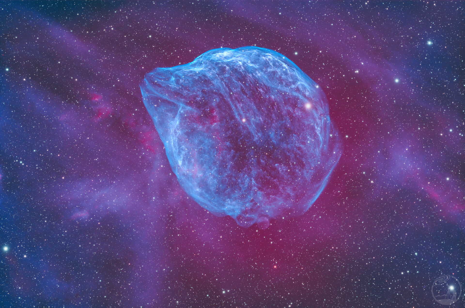 氢海里的海豚头