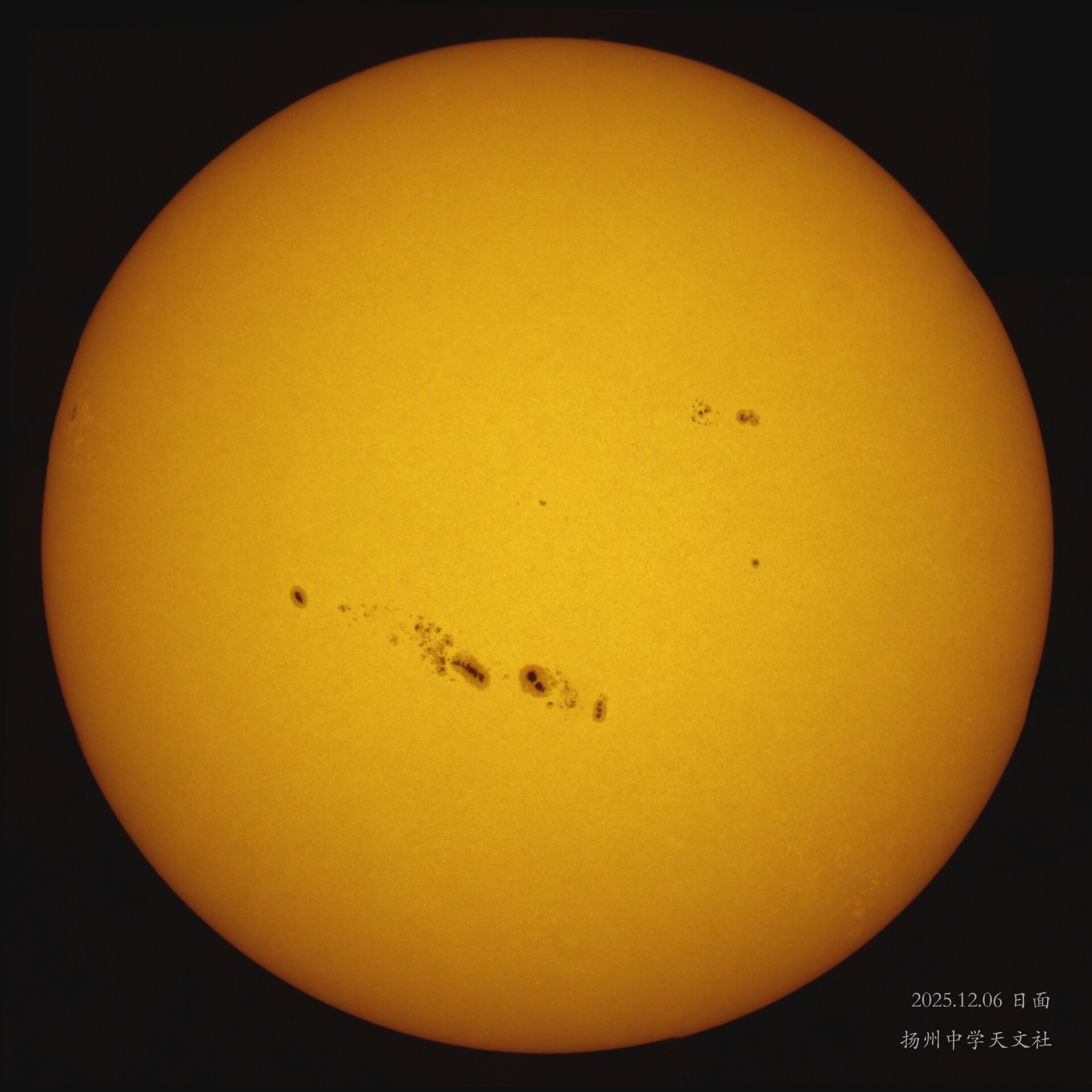 当无人机凌过黑子群