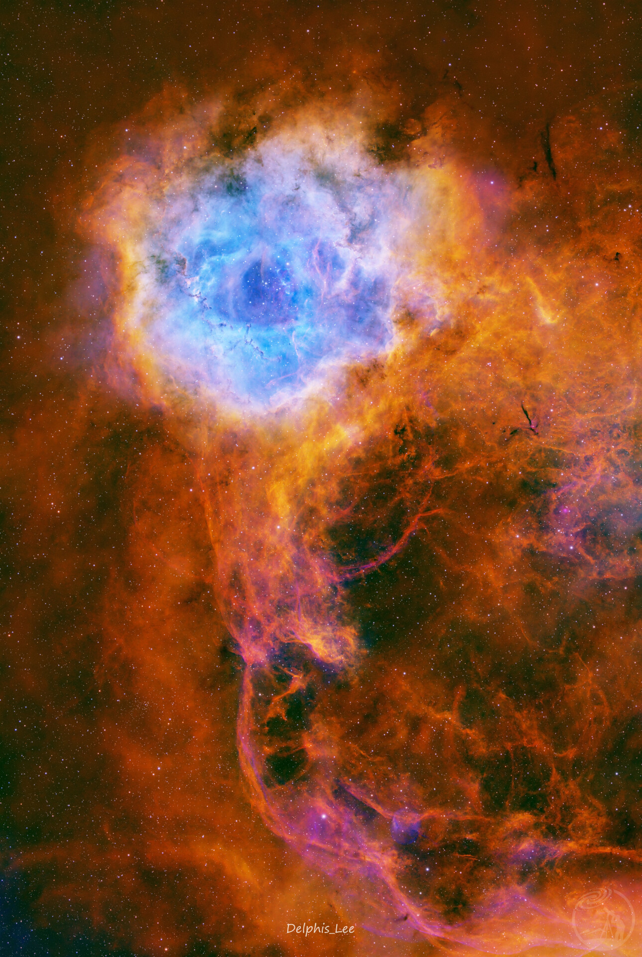 进击的玫瑰 — 沙虫怪