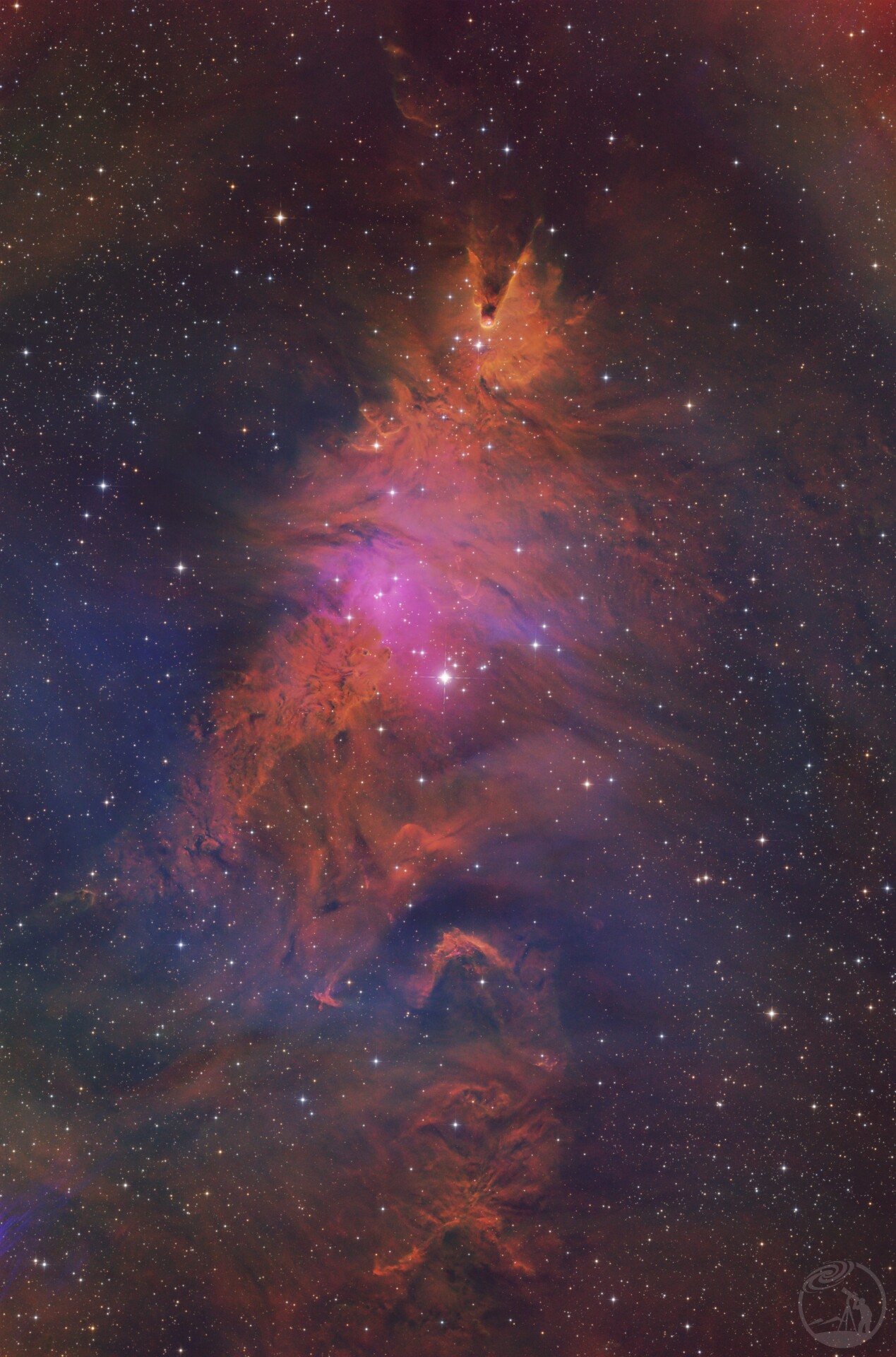 NGC2264圣诞树星团