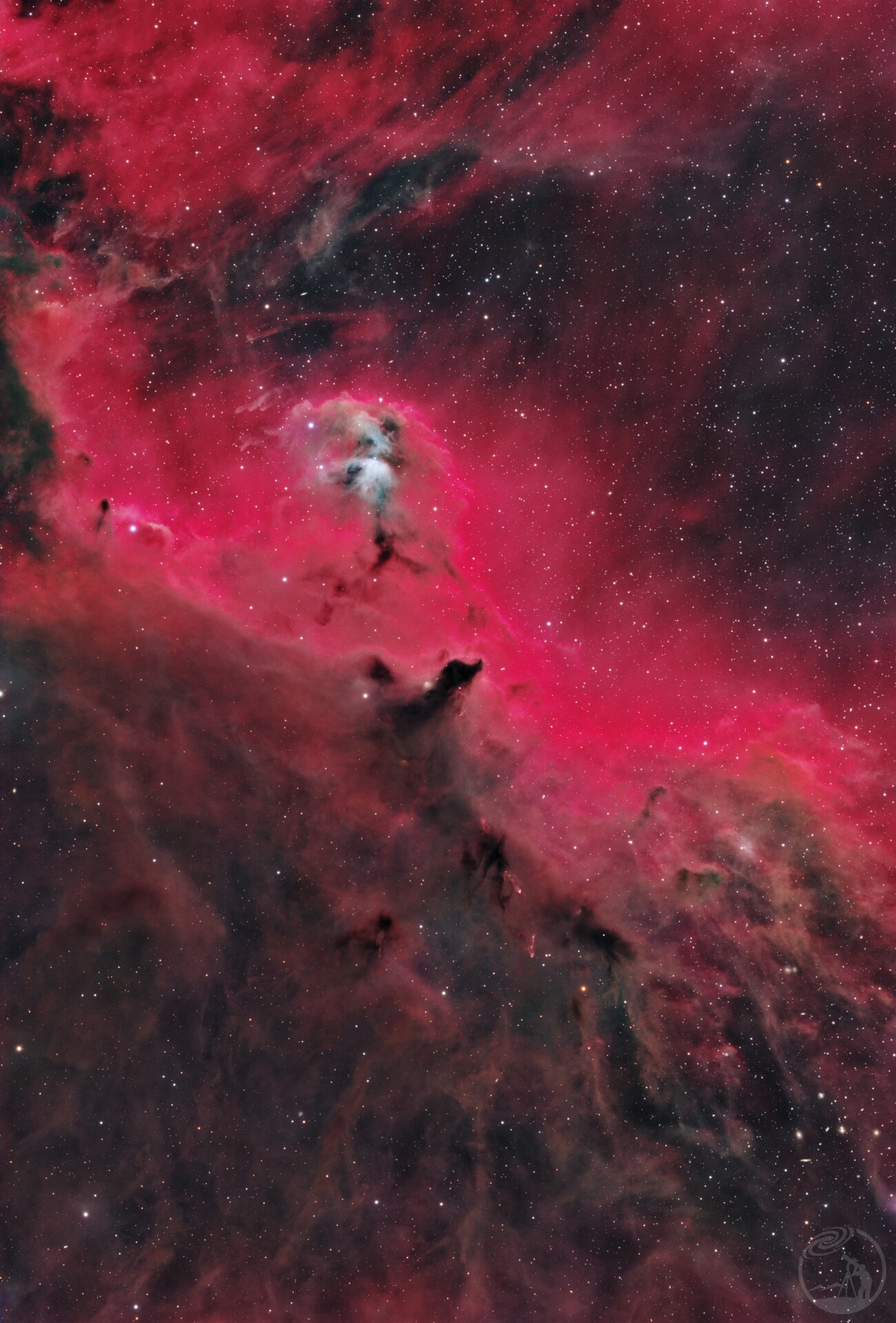 燃烧猎户的神鸟