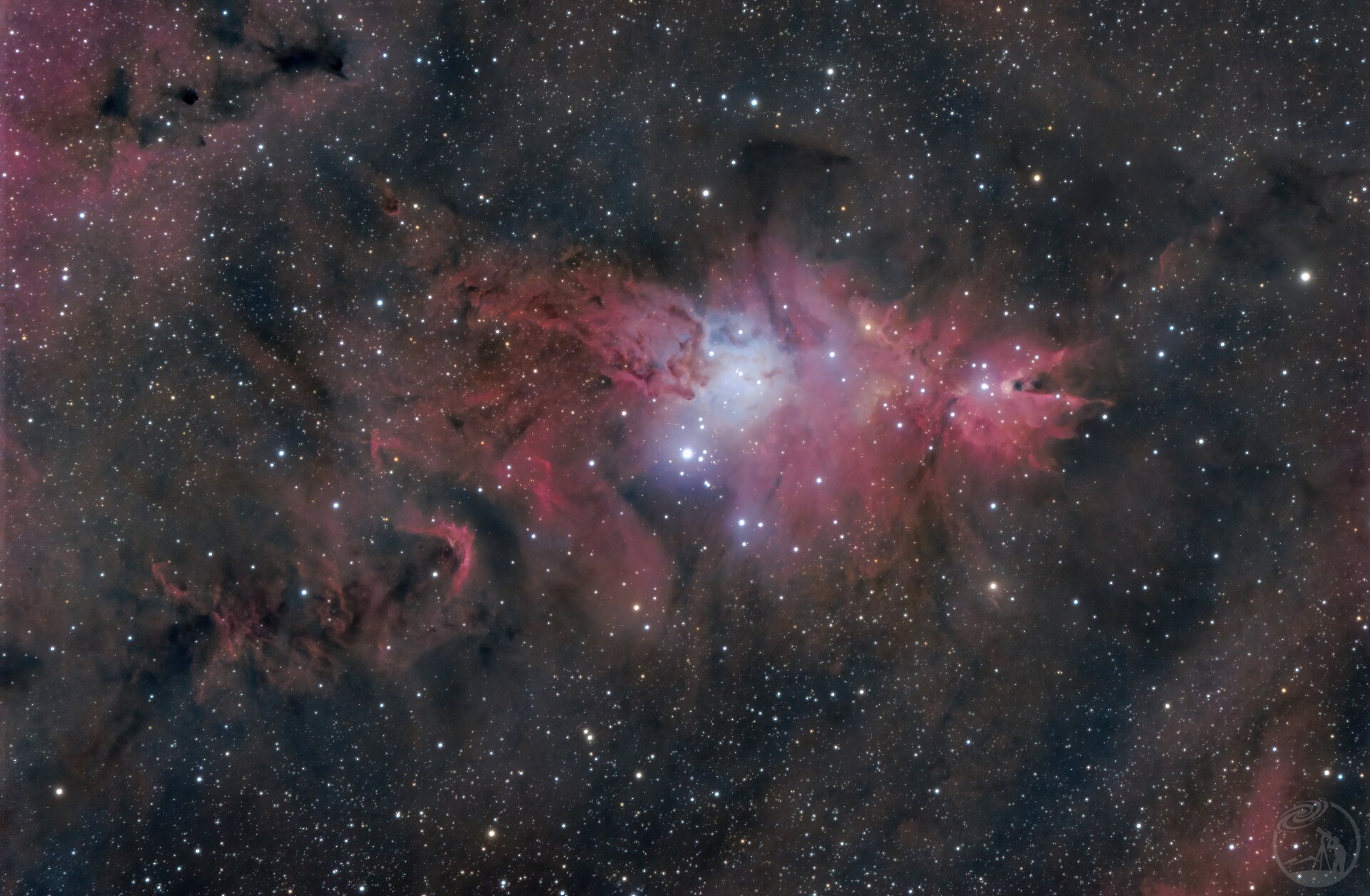 圣诞树🎄NGC2644