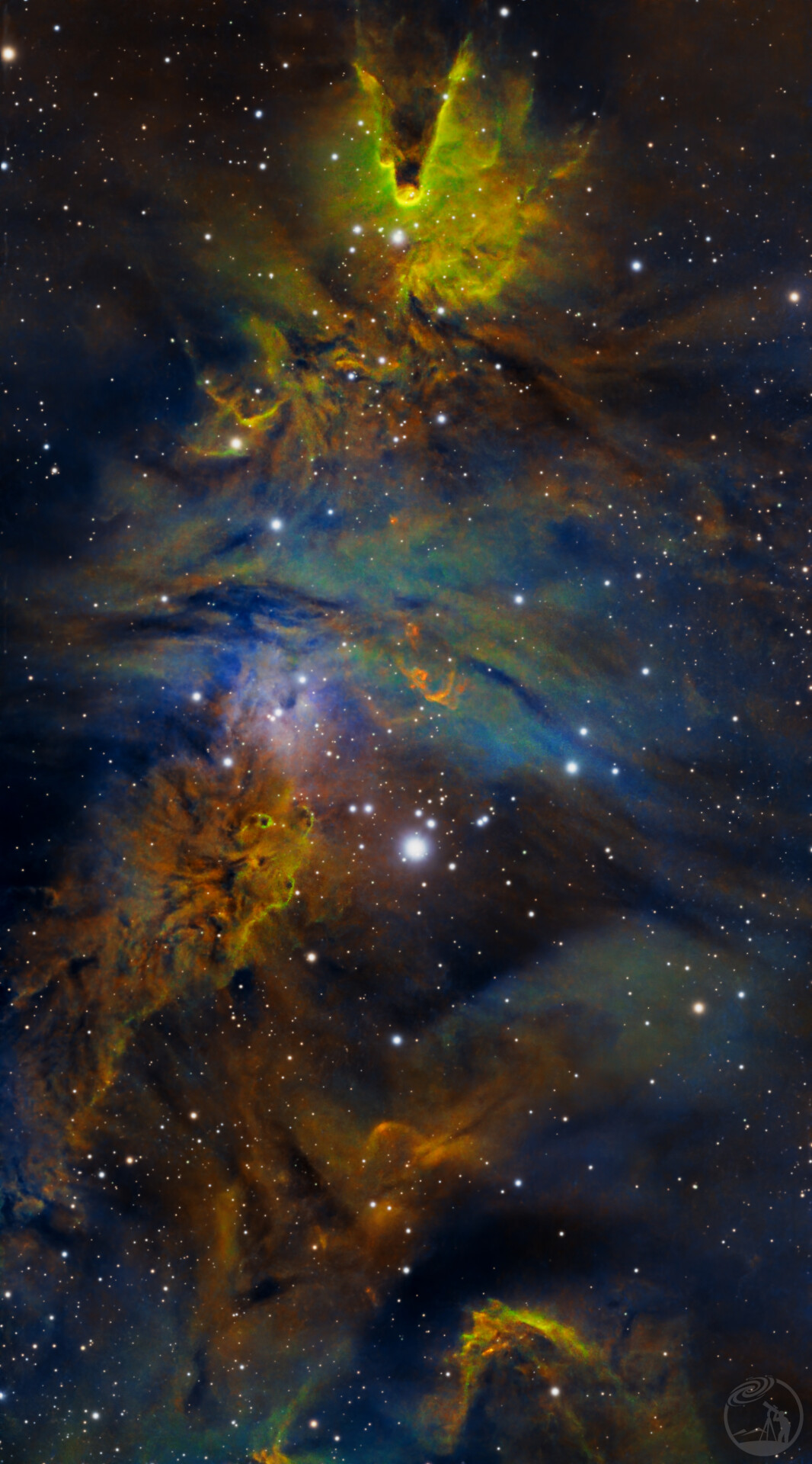 草帽开光之作，NGC2264