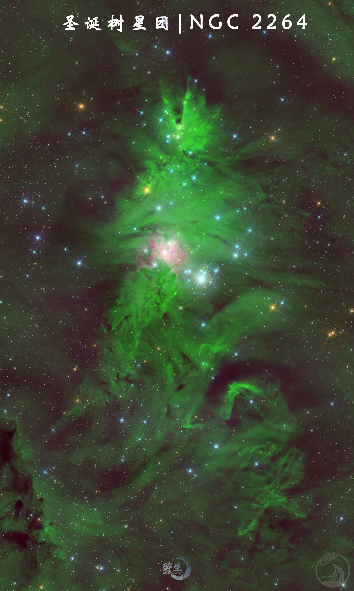 圣诞节🎄就得上圣诞树🎄，彩机骚操作