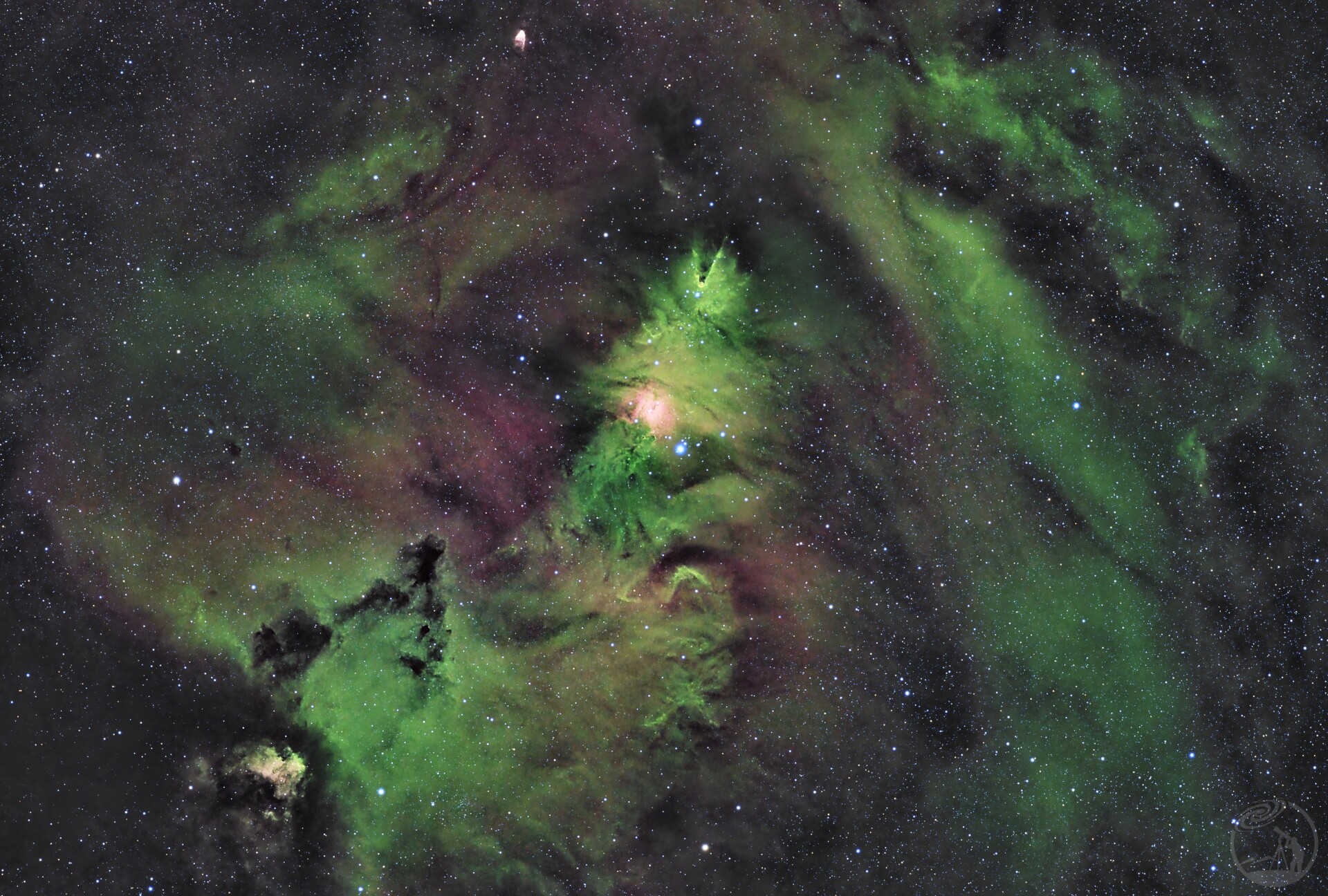 NGC 2264圣诞树