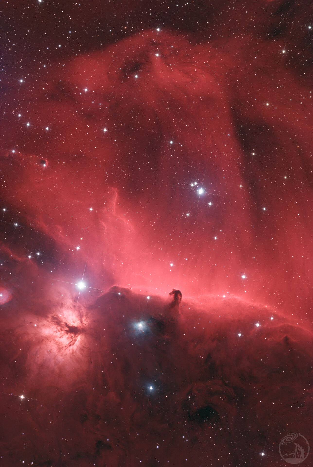 马头星云和火焰树星云