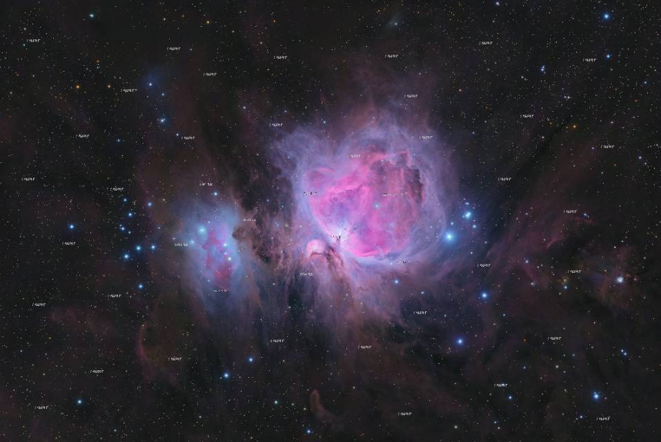 猎戶座大星云（M42）