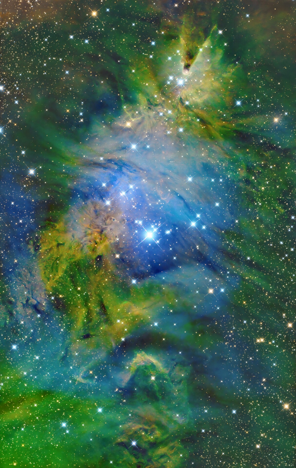 🎄圣诞树浅度曝光🎄