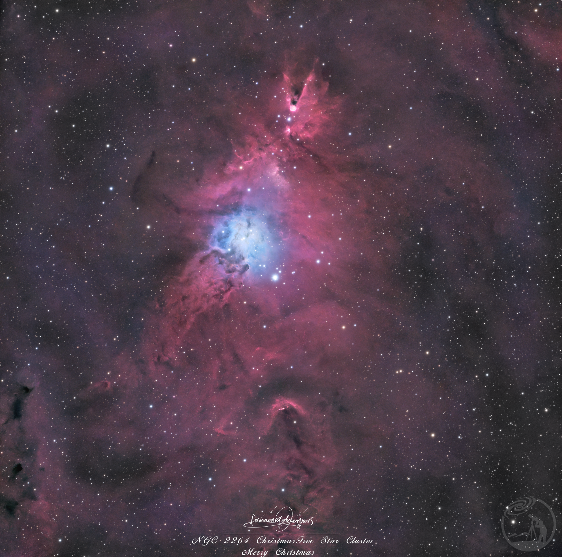 来自星辰的圣诞祈愿