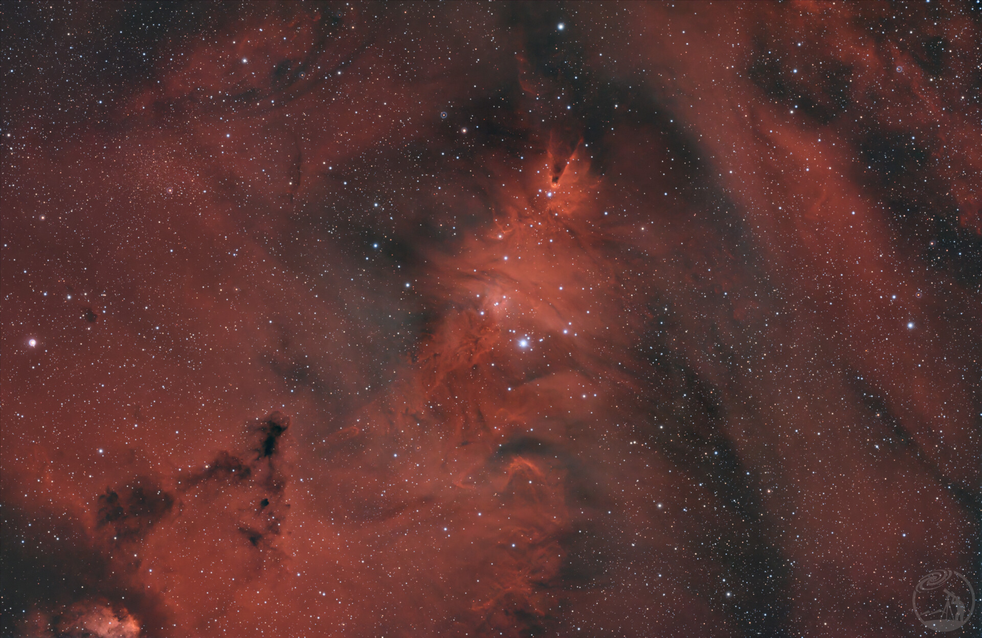 预祝圣诞快乐🎄