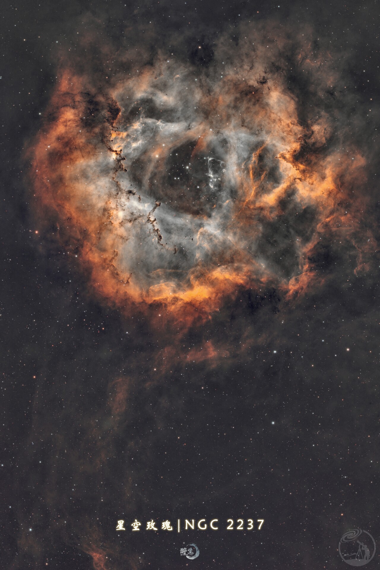 彩机拆的特别黑金玫瑰