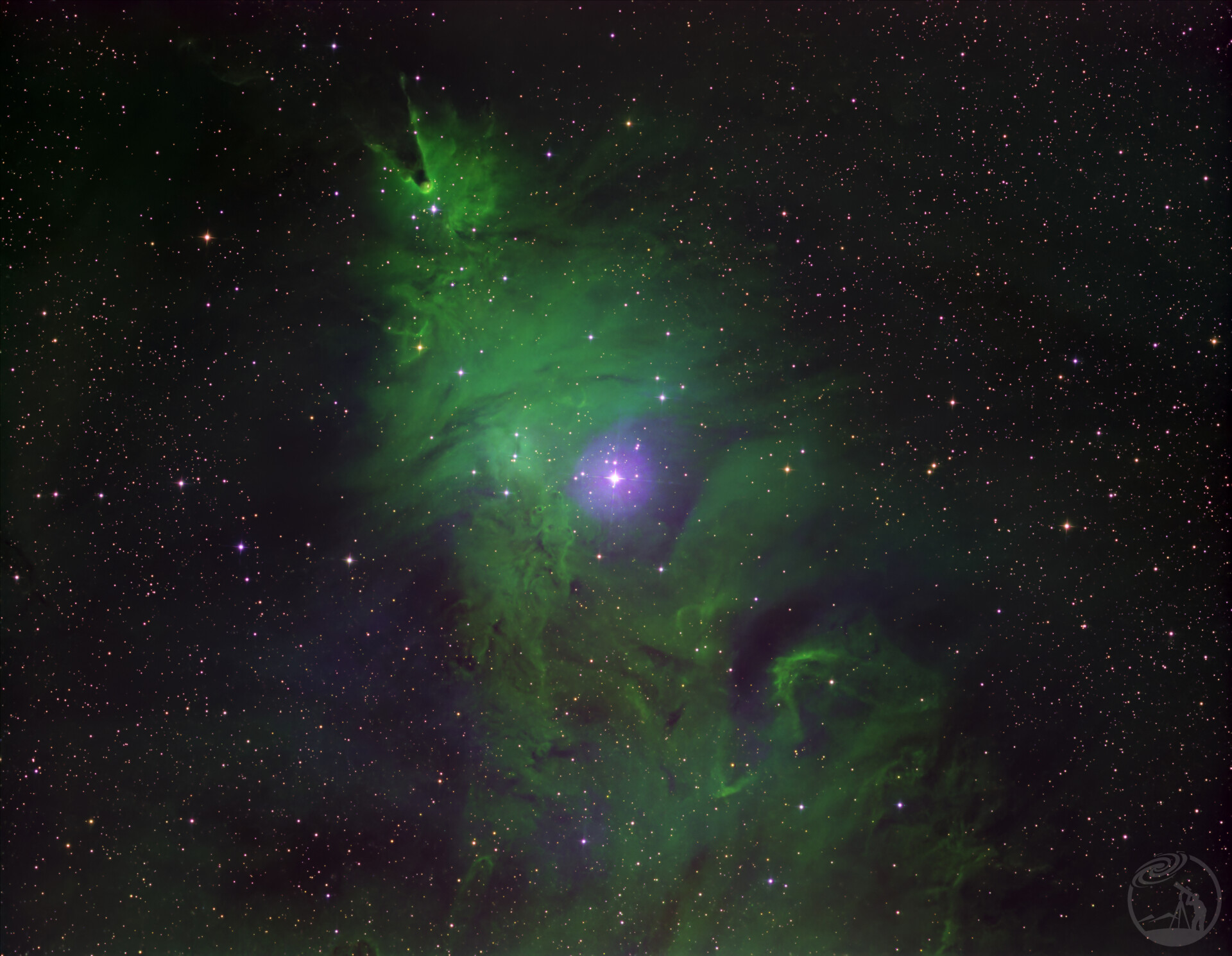 圣诞节快乐～圣诞树星云