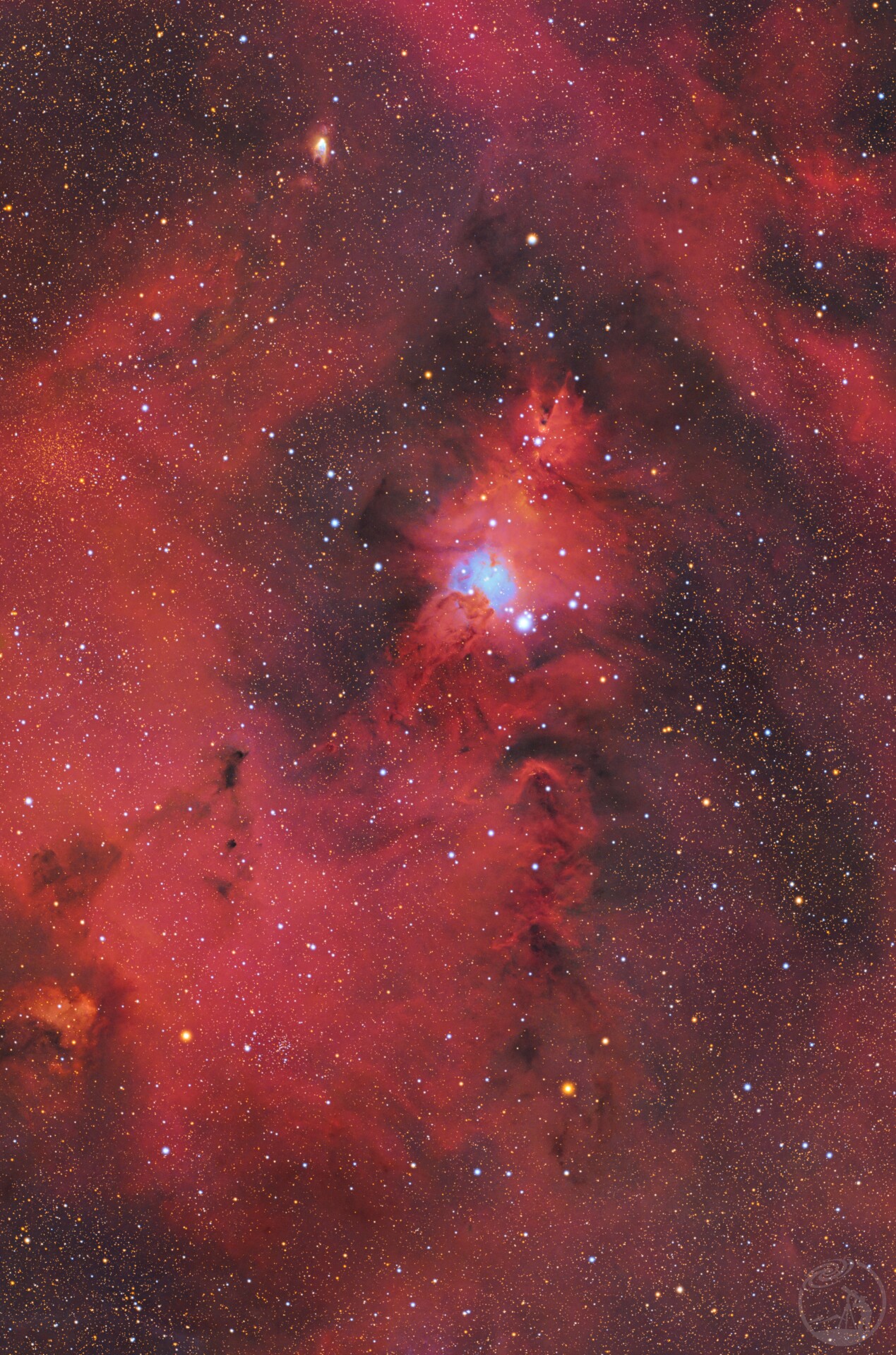 🎄圣诞节快乐🎄