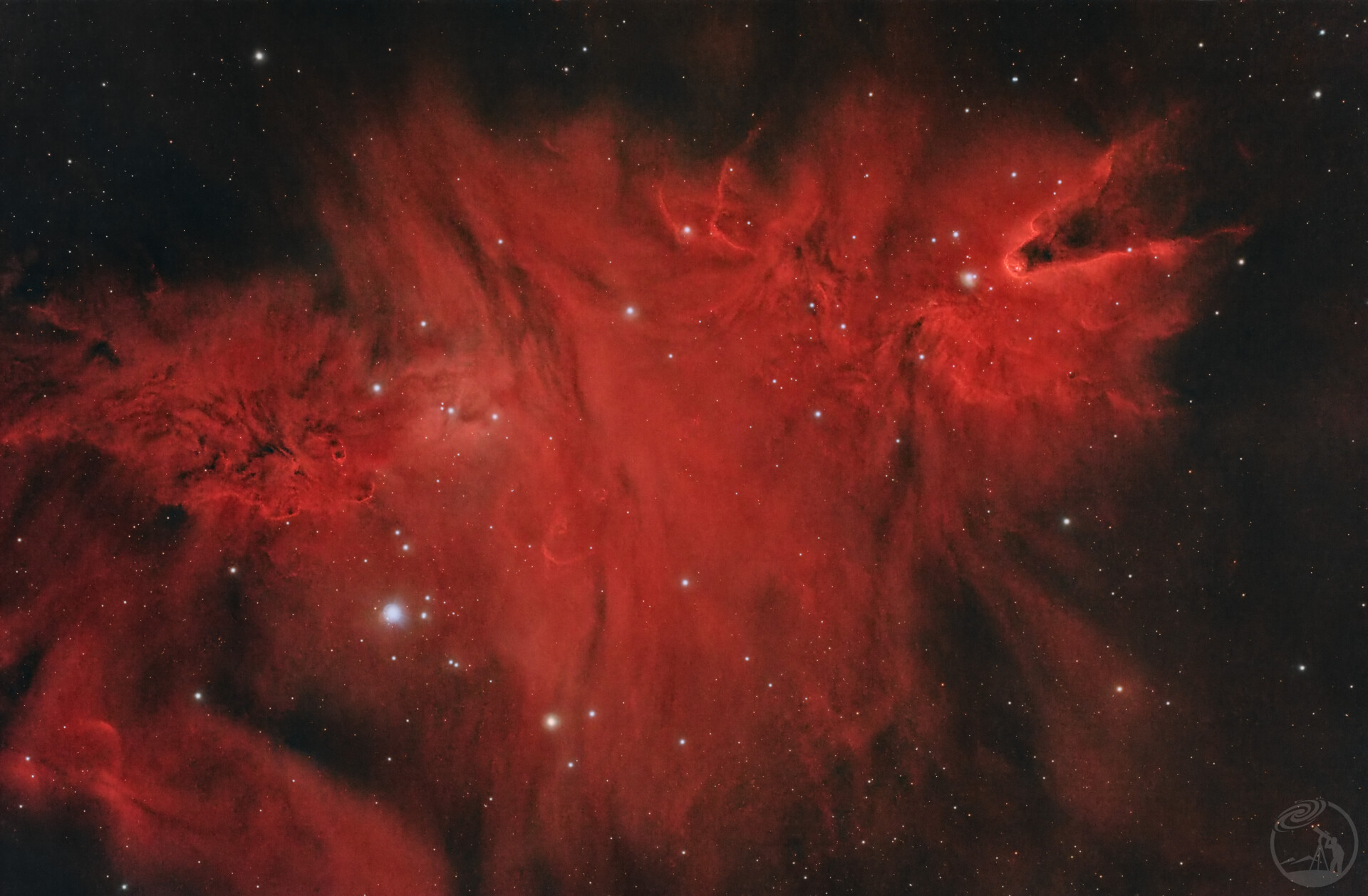 1500mm焦距下的圣诞树特写