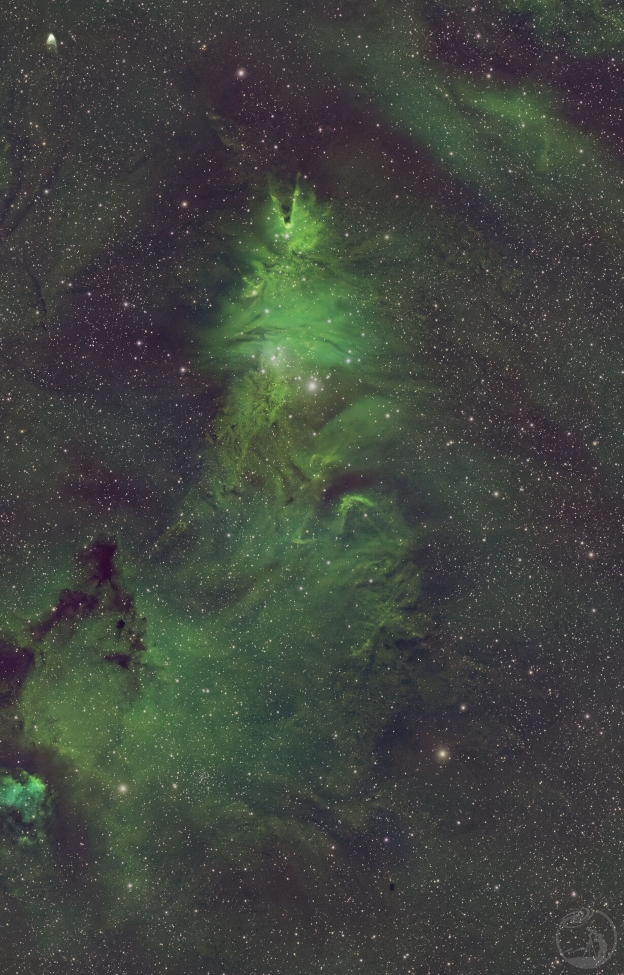 NGC2264圣诞树星云