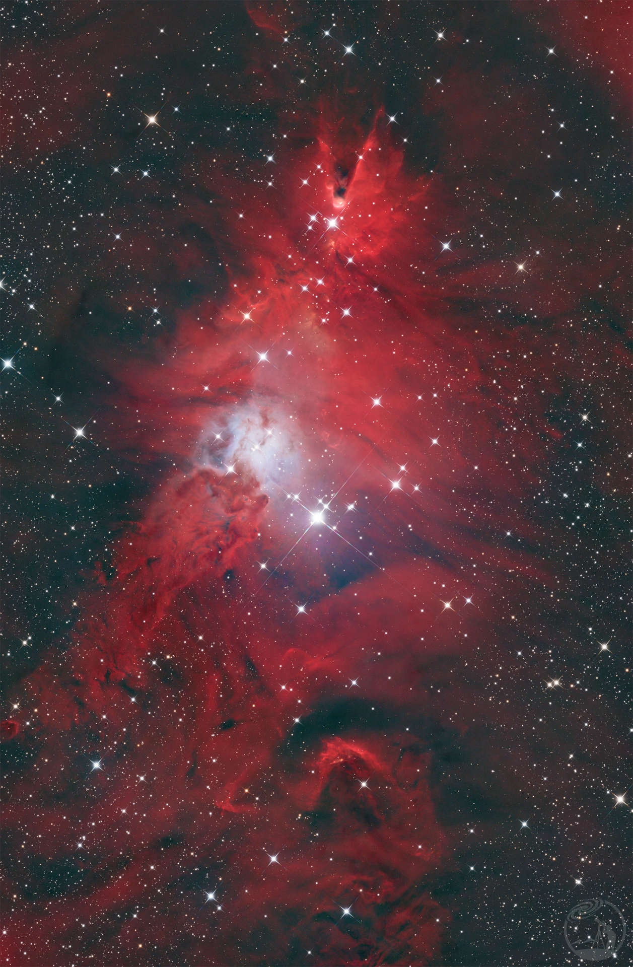 NGC2264🎄圣诞节就该发圣诞树