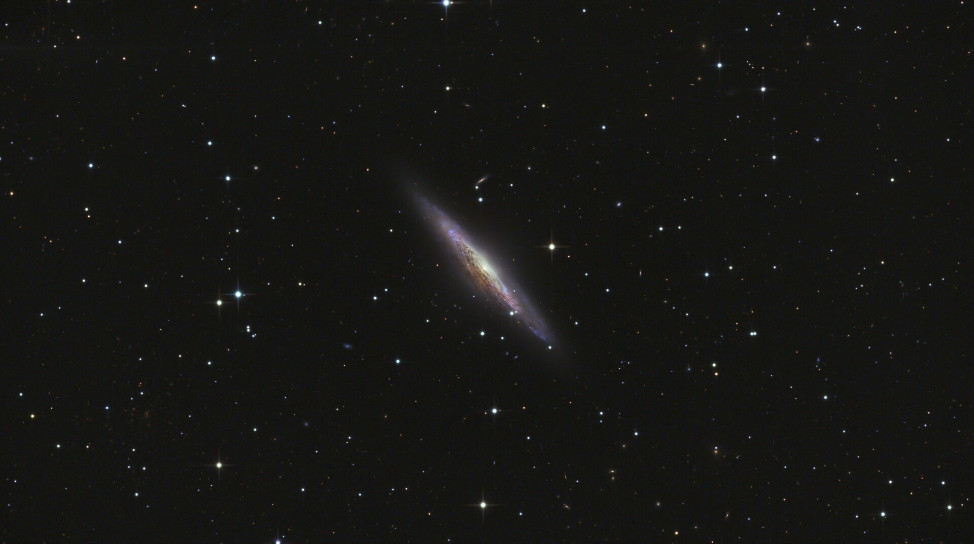 五级区四小时彩机打野