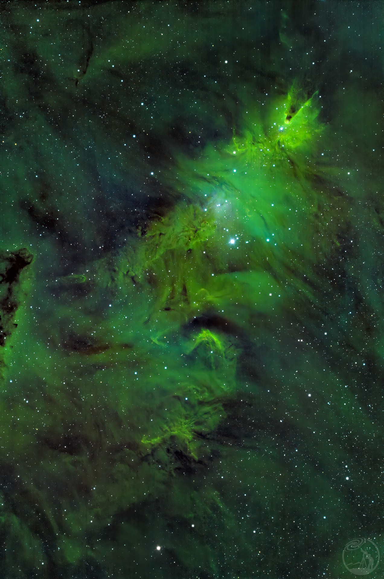 ngc2264 猎户旁的圣诞树