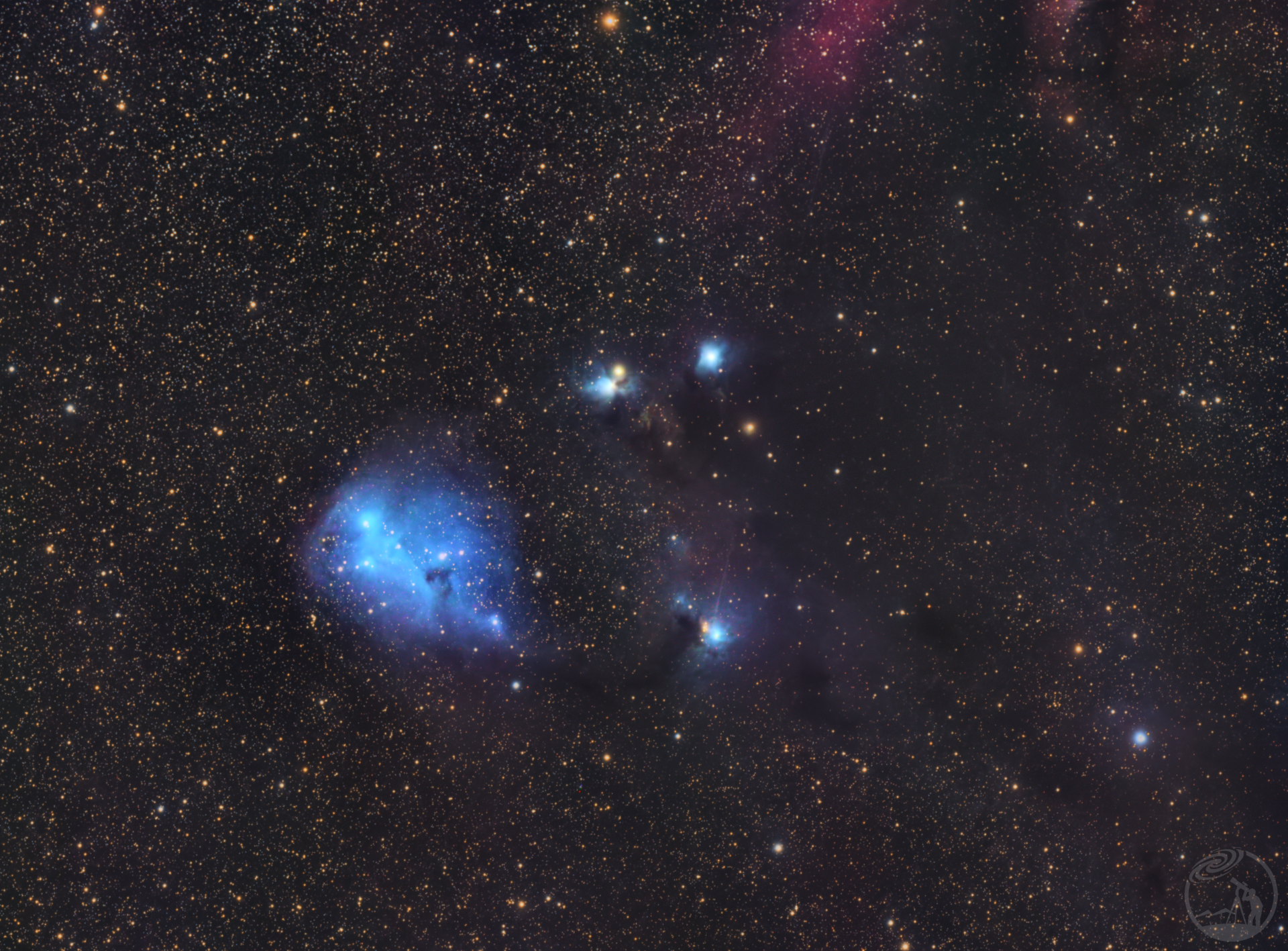 IC2169 圣诞树旁的小鲸鱼