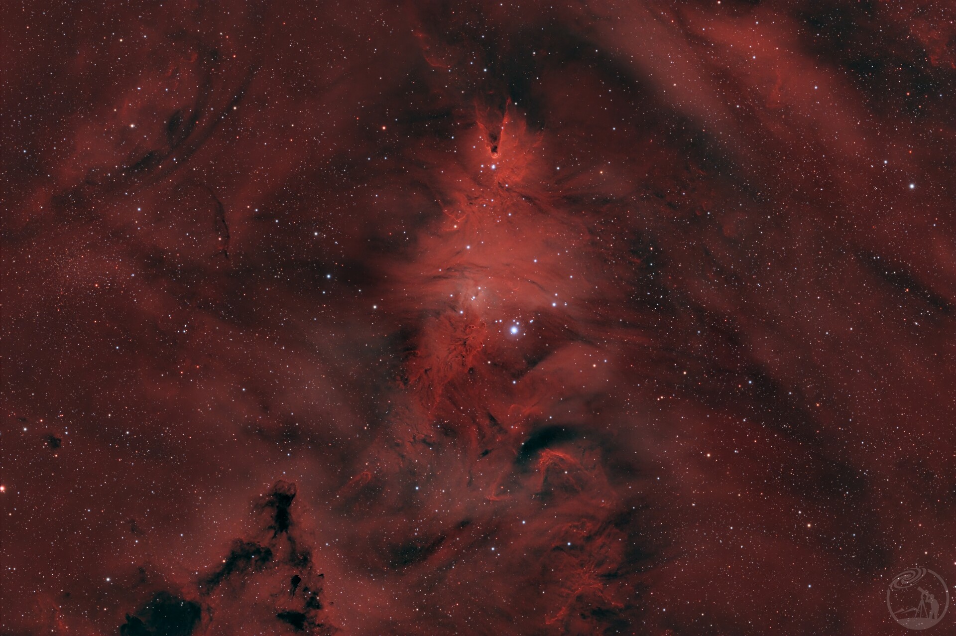 NGC2264 圣诞树星云