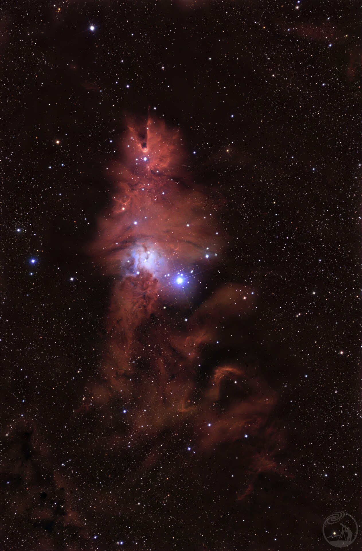 圣诞树星云（NGC2216）