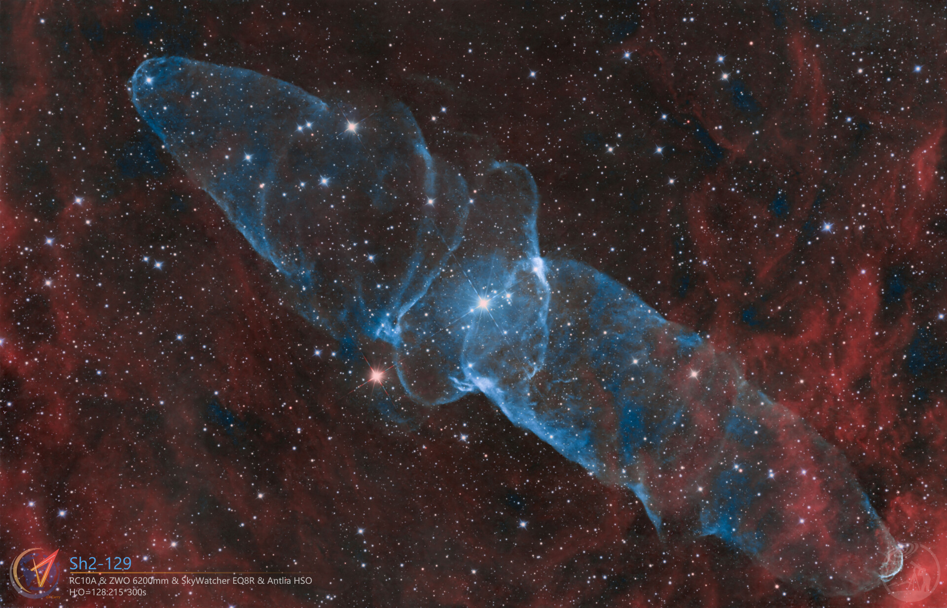 sh2-129 鱿鱼进化史