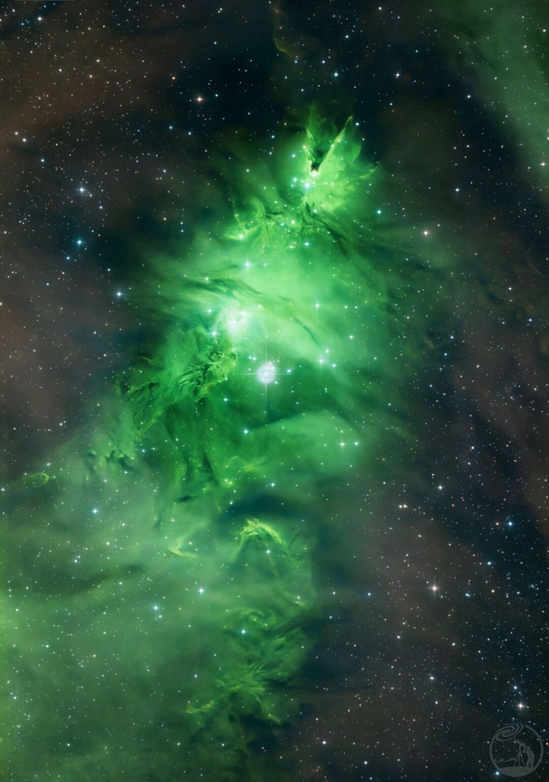 圣诞夜的圣诞星云 你更喜欢哪个呢？