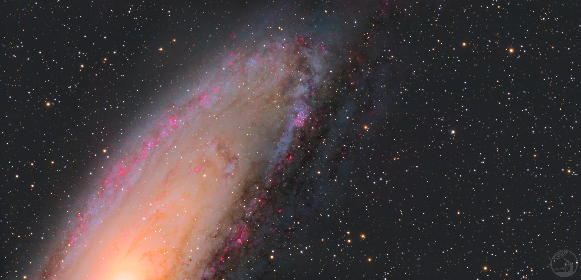 M31局部（小红花.png）