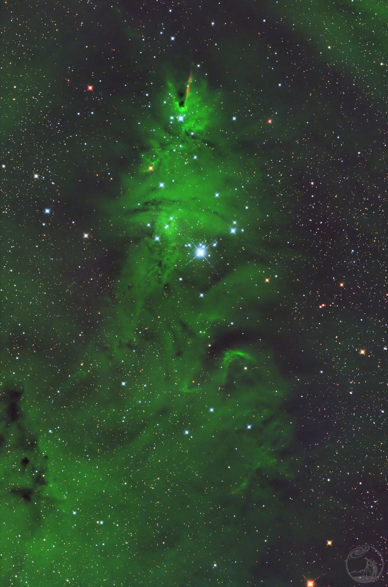 ngc2264宇宙圣诞树