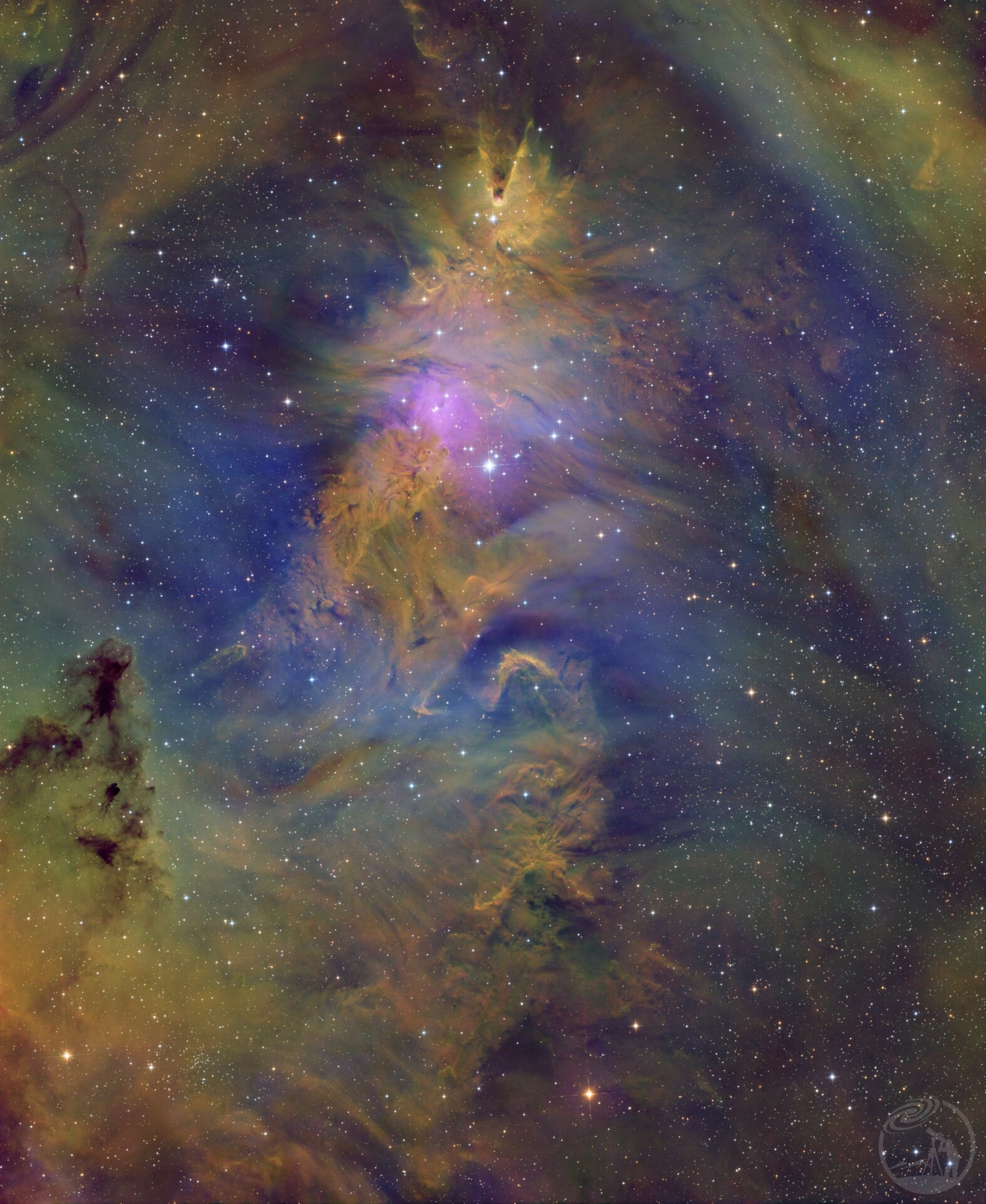 ngc2264圣诞树星云