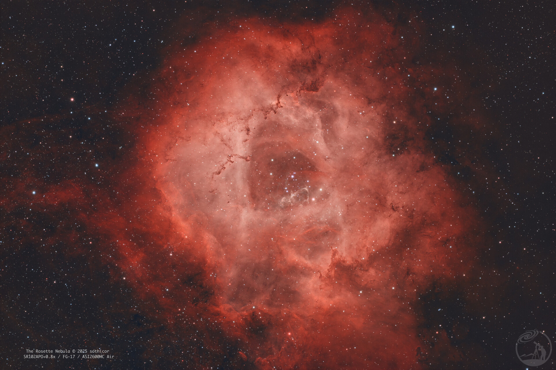 2025的最后一张打野照｜窄带玫瑰