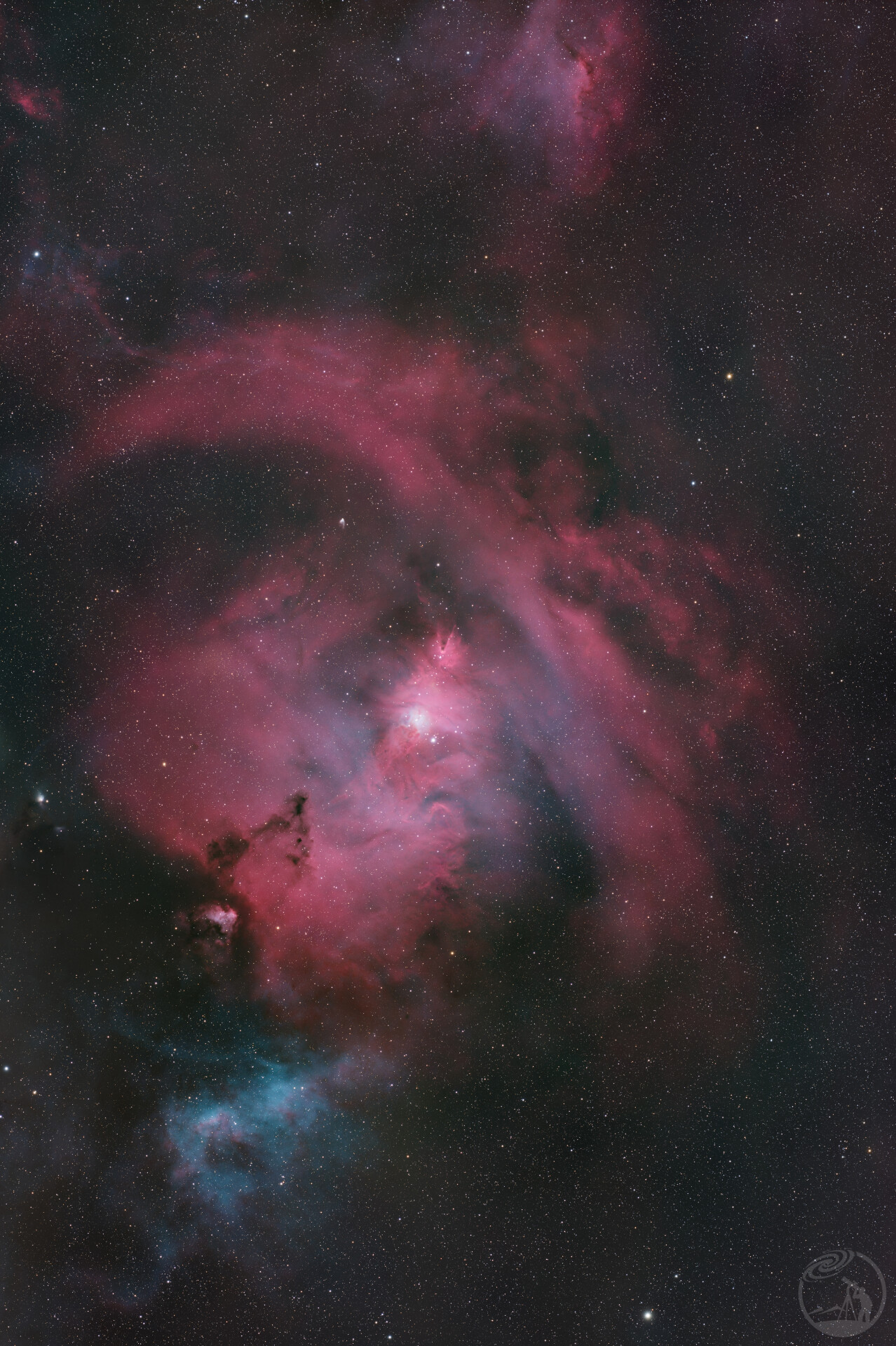 过季的圣诞树🎄