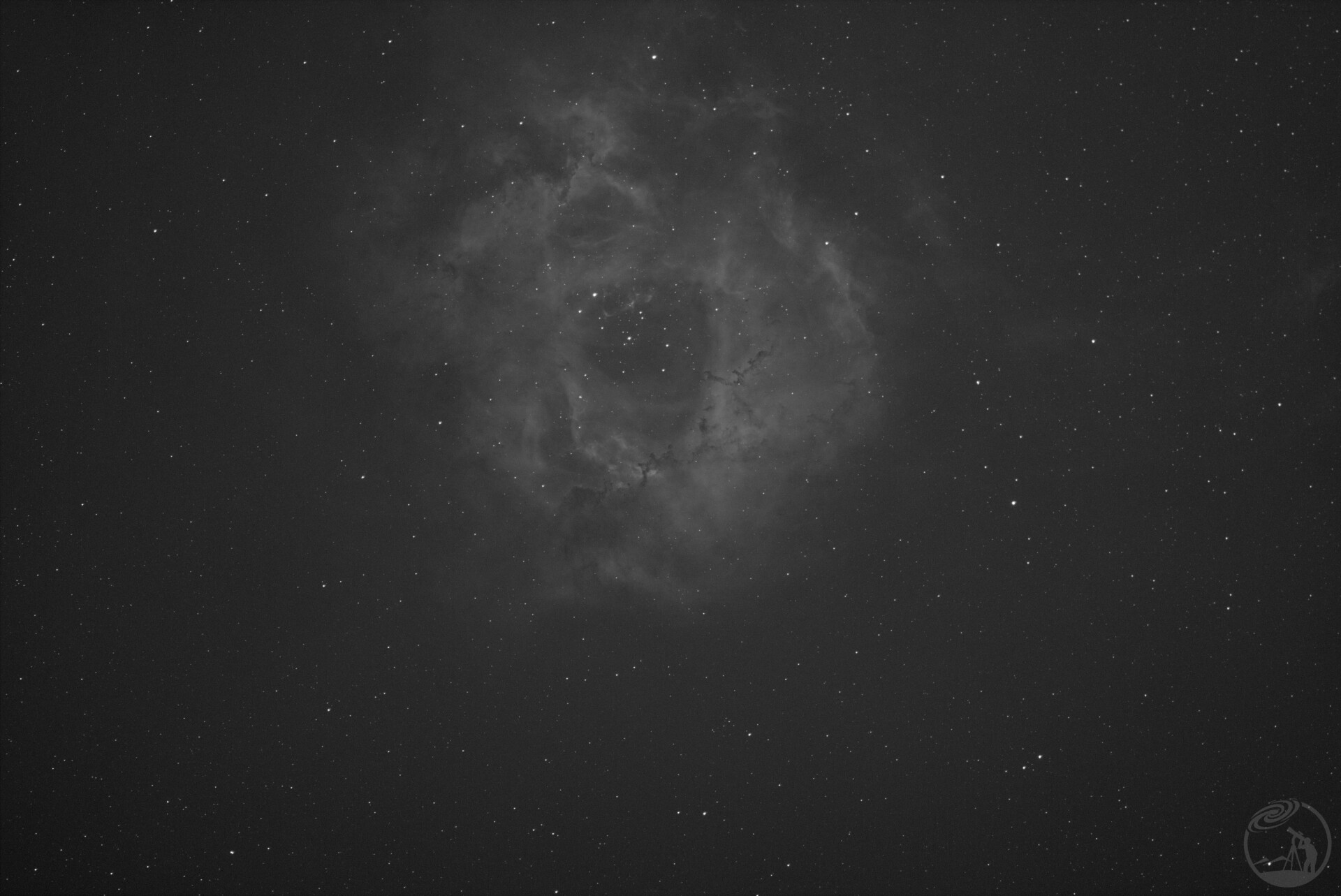 玫瑰星云和意面星云ha单张 2000s