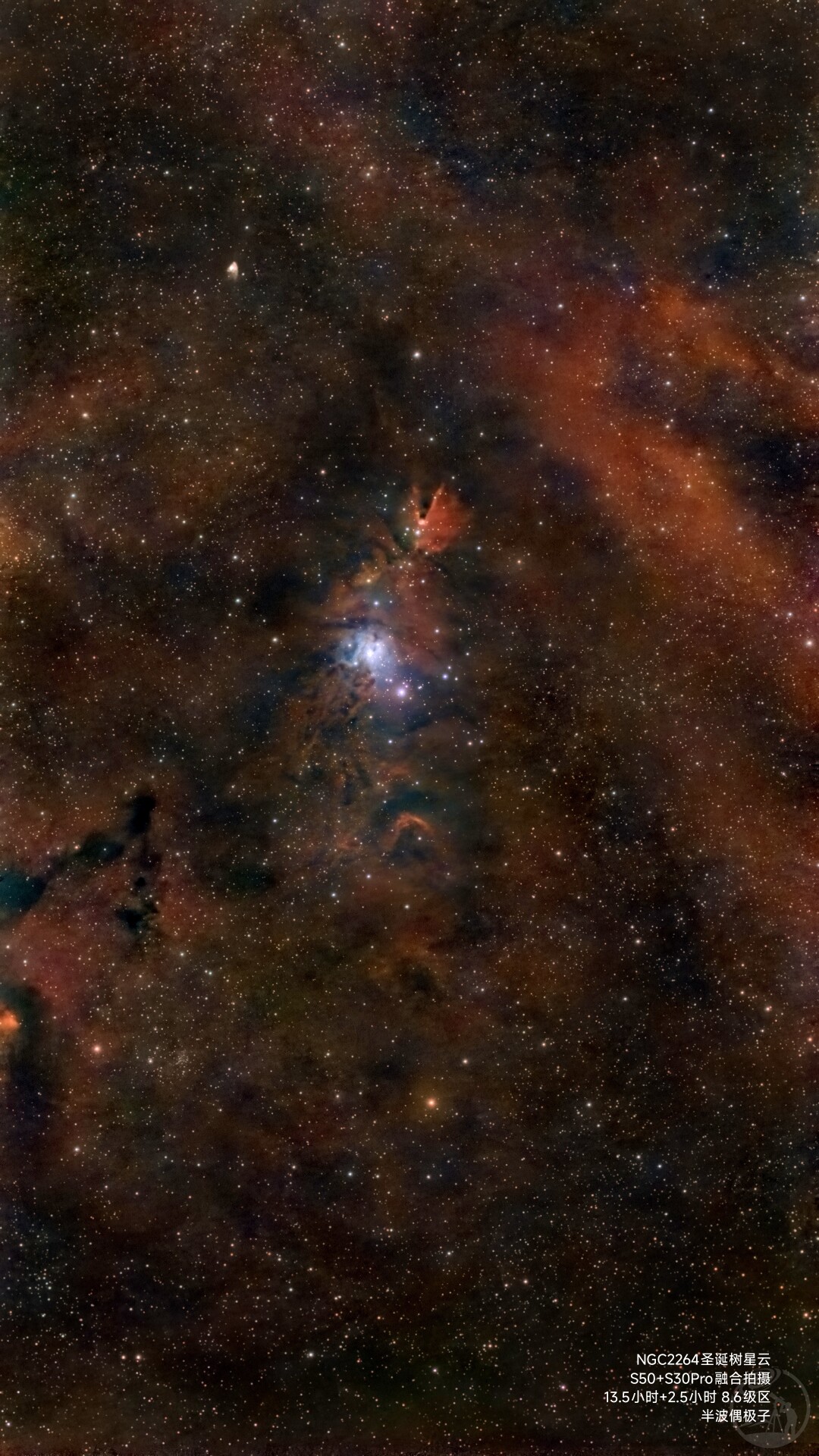 圣诞树星云 S30pro与S50融合拍摄