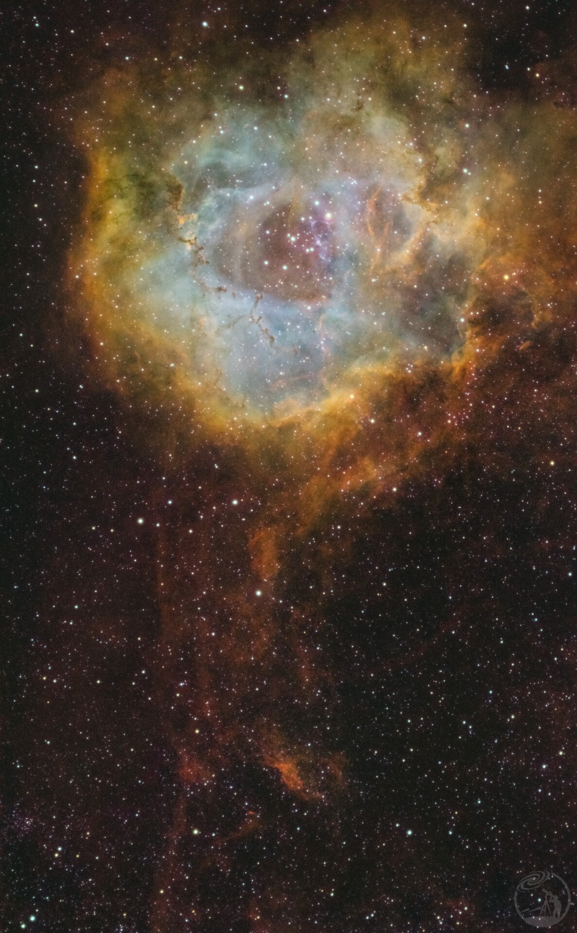 NGC2237玫瑰星云