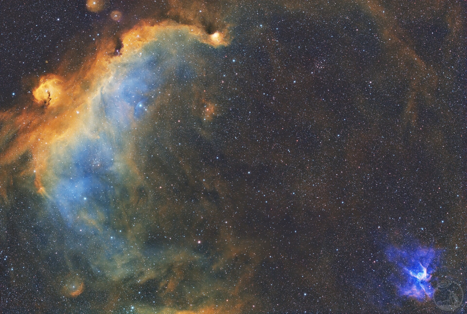 打野海鸥下蛋（海鸥与雷神头盔）