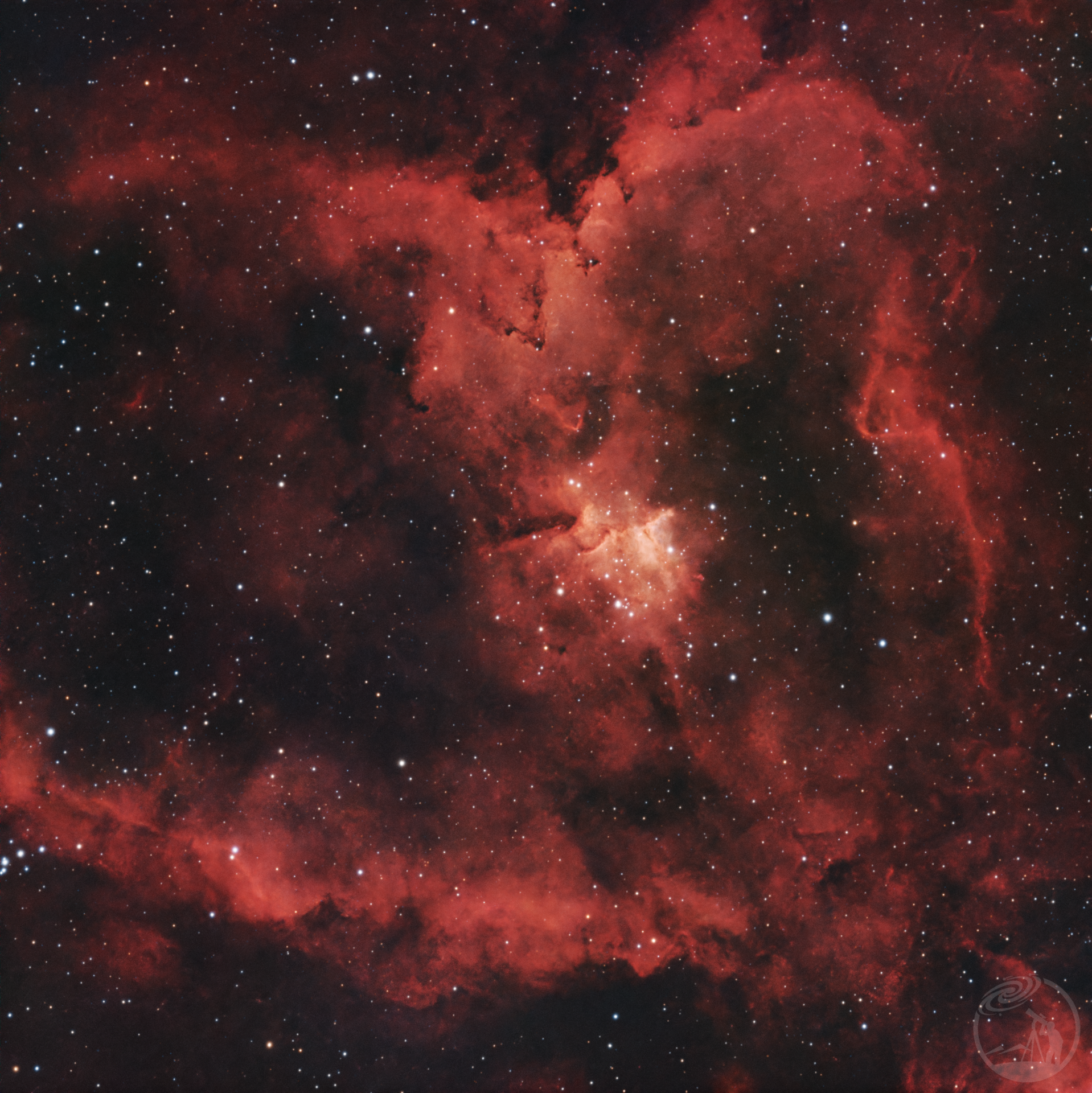 2025年最后一颗心脏