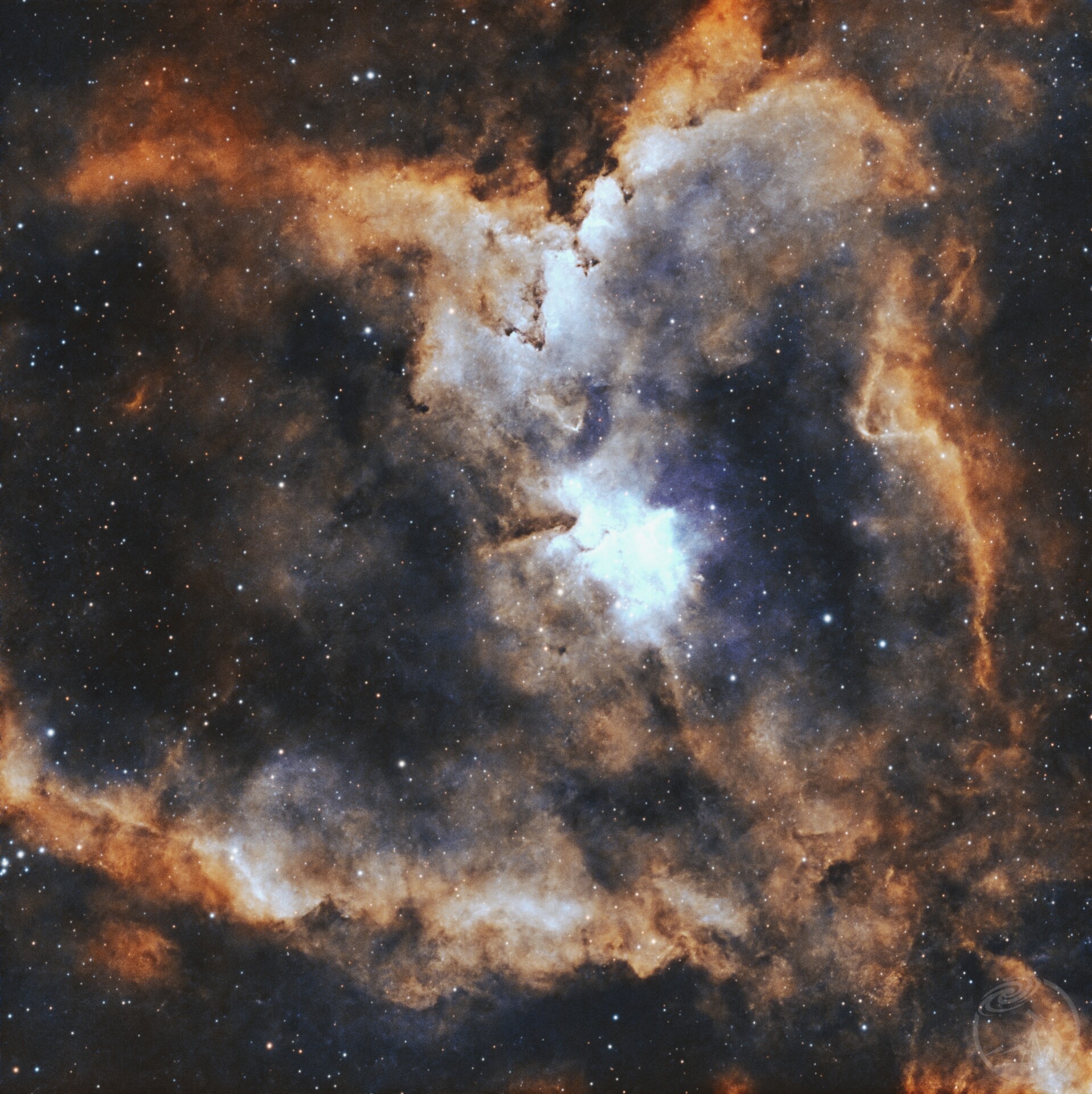 2025年最后一次拍摄的心脏